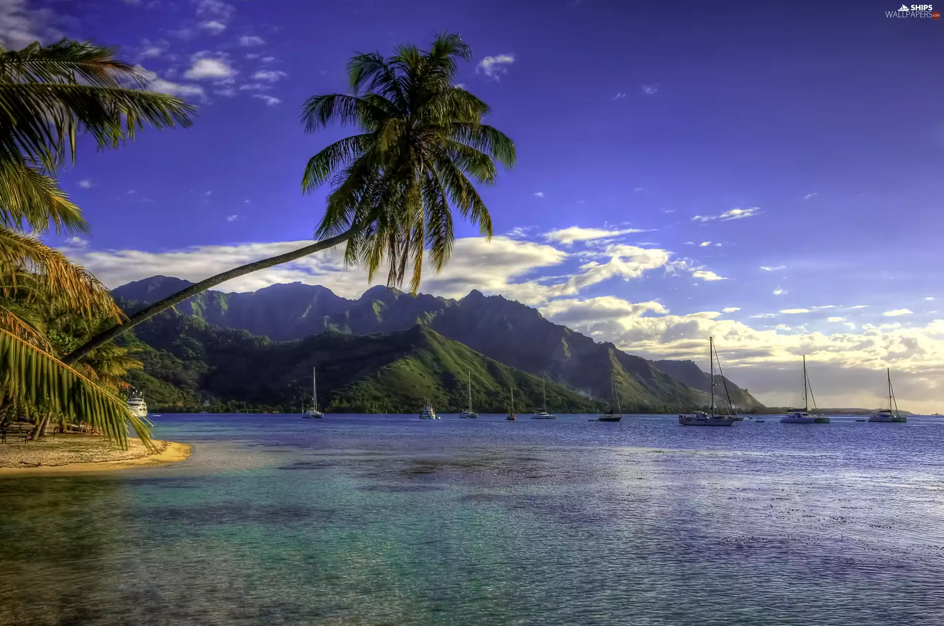 boats, sea, Palms, Mountains