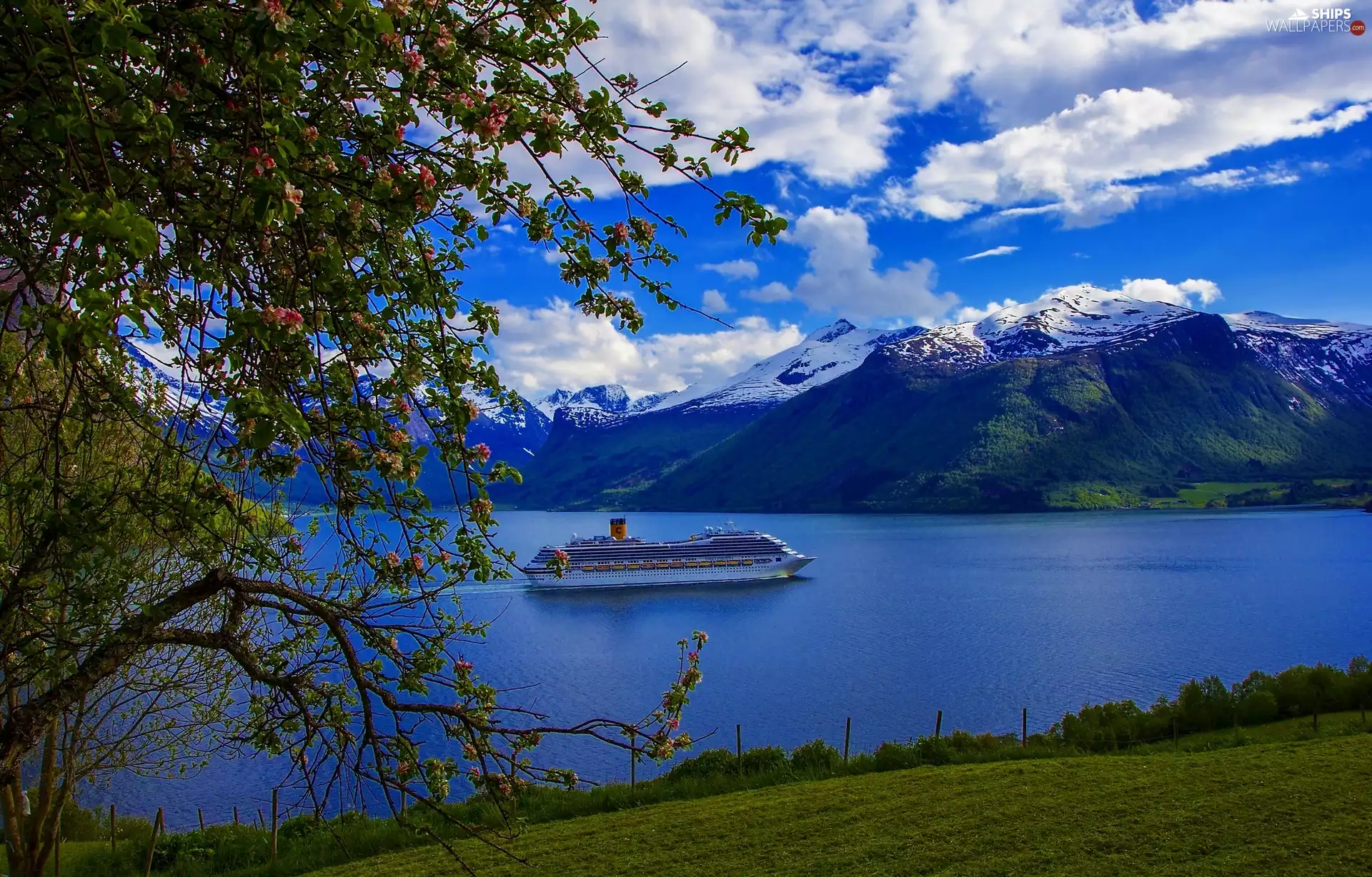 fjord, sea, flourishing, Mountains, Norway, Ship, trees