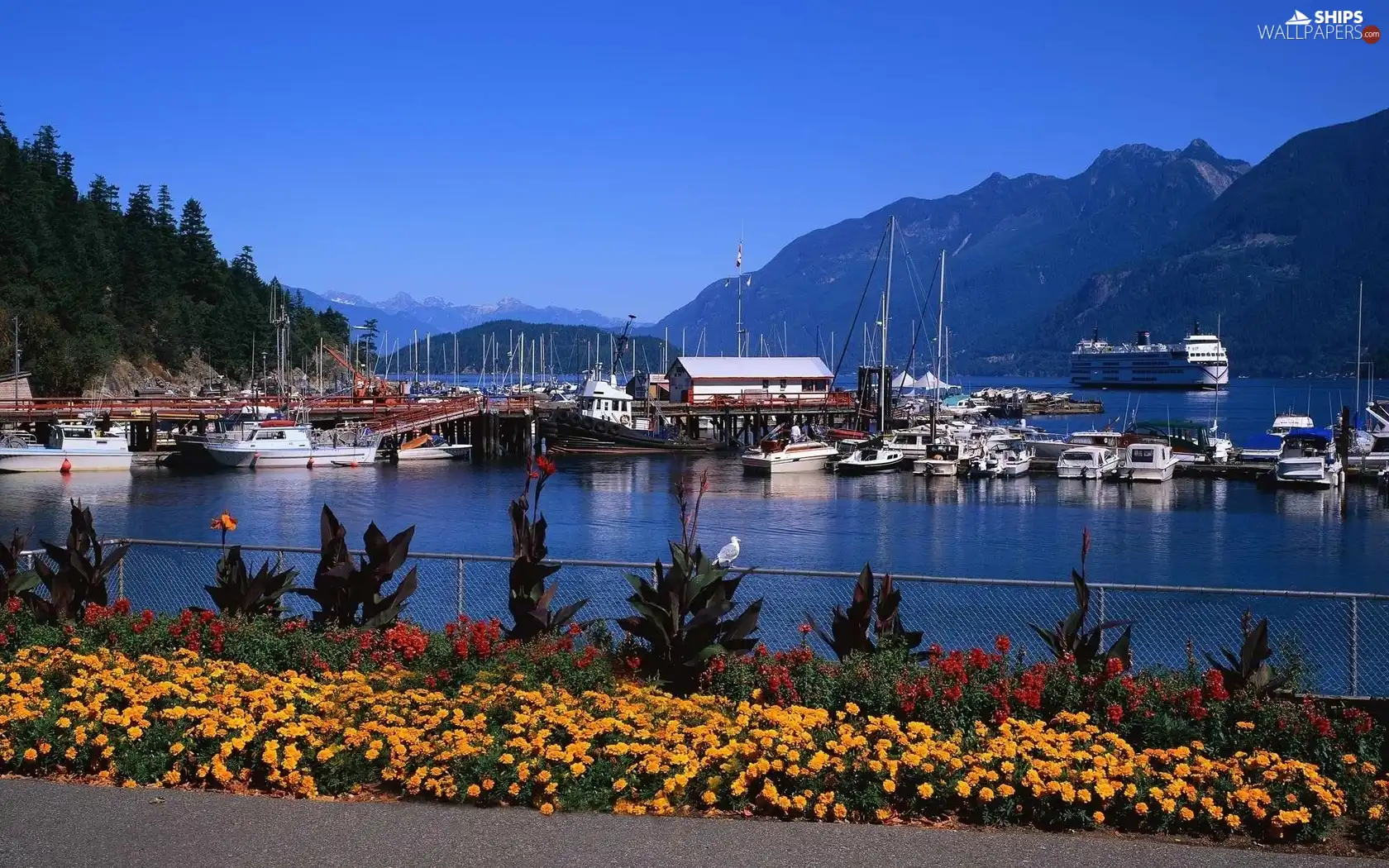 Mountains, Flowers, Ship, motorboat, port
