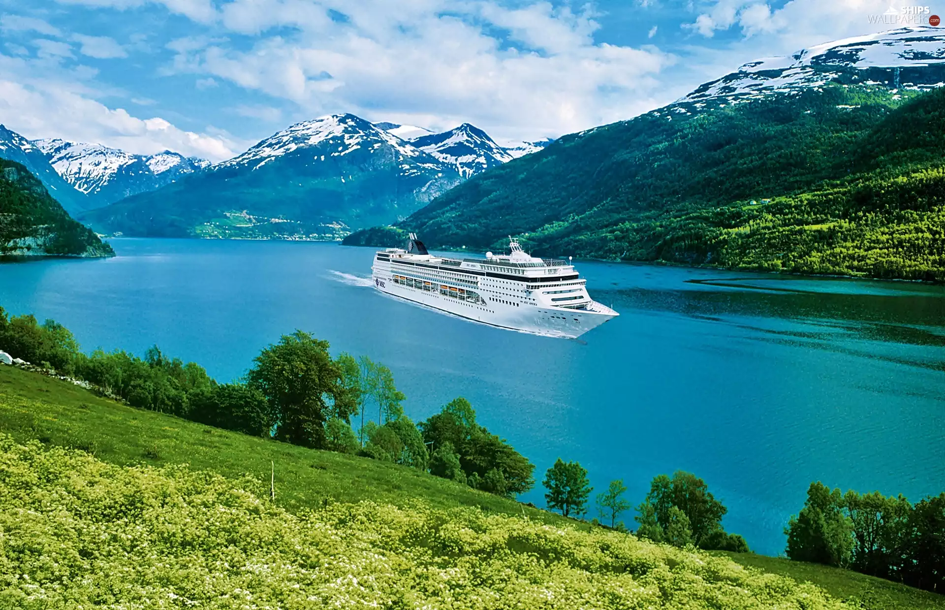Ship, Mountains, MSC, Opera, cruise, fjord