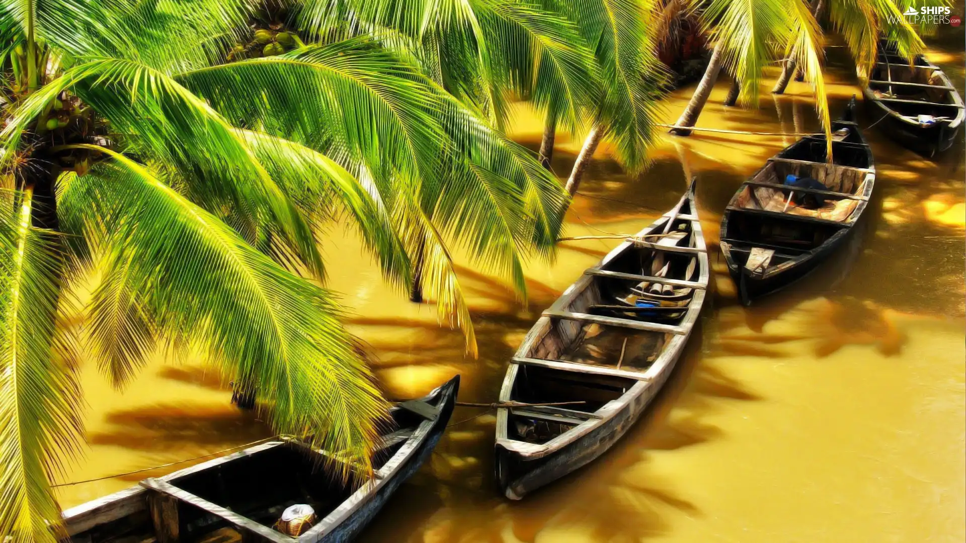 Palm, Boats, Twigs