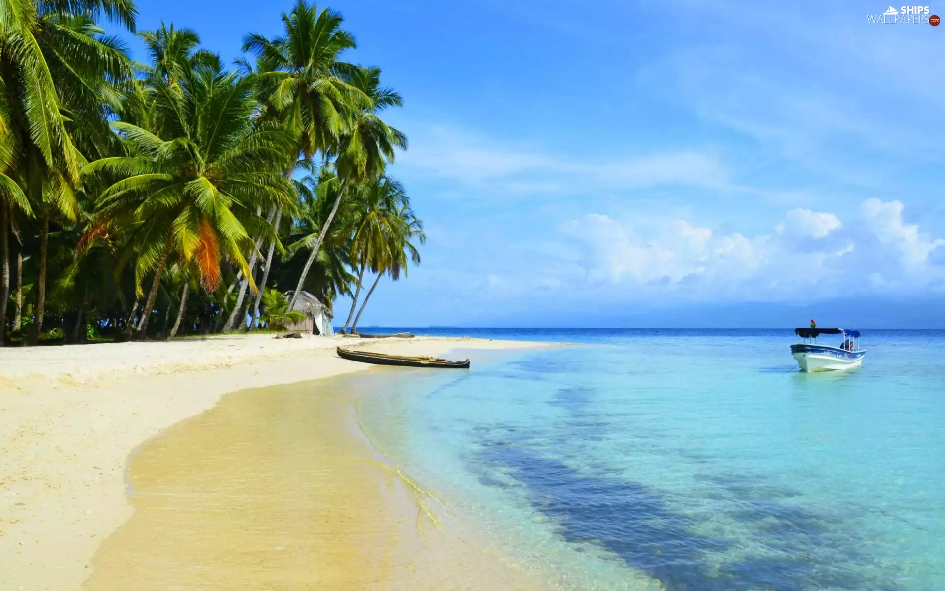 Beaches, boats, sea, Palms