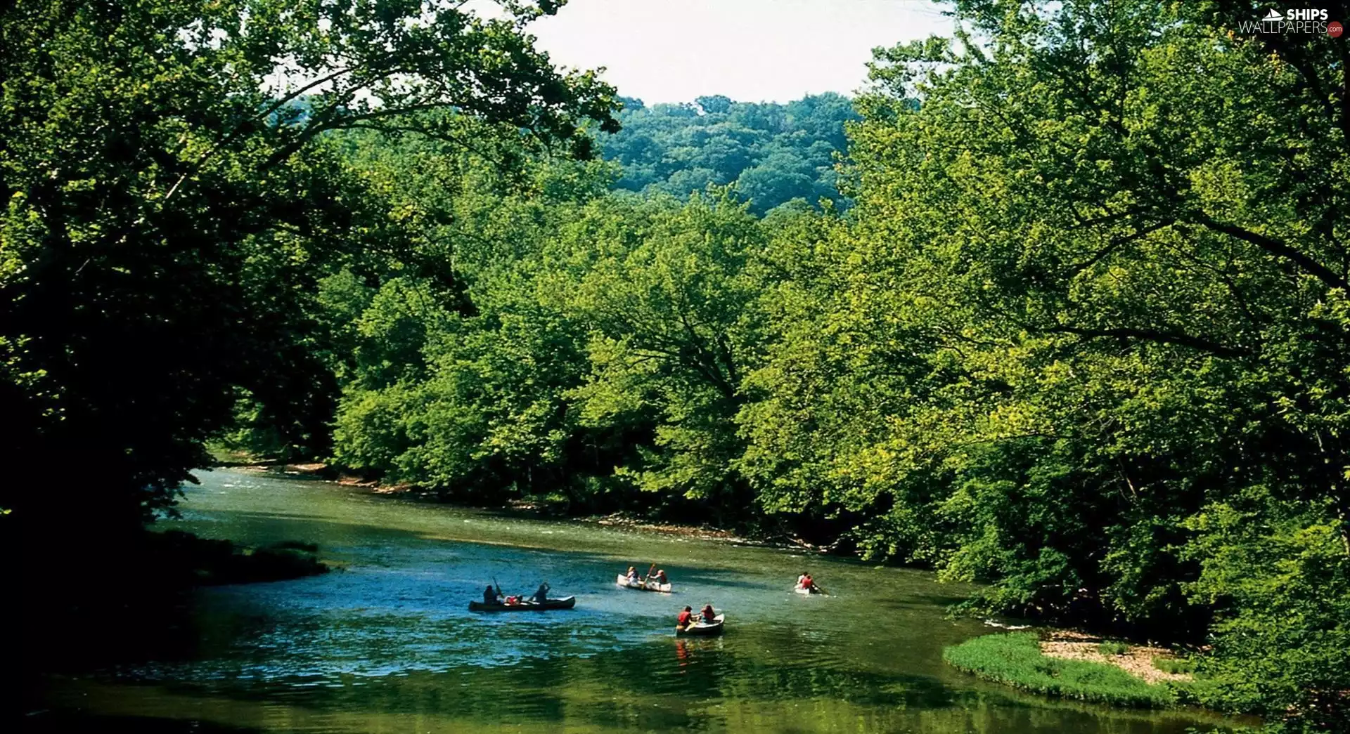 boats, People, trees, viewes, River