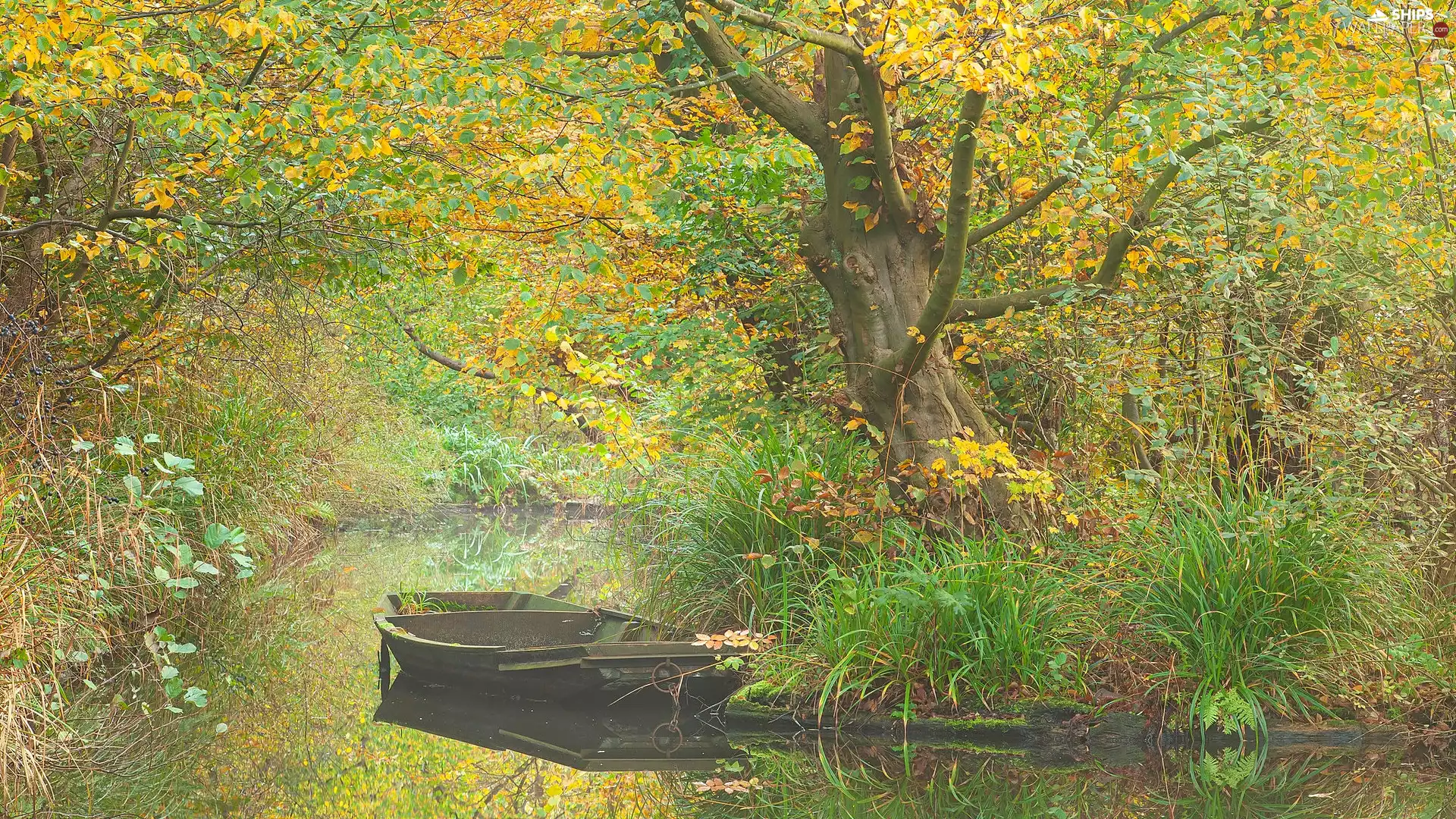 viewes, Plants, Boat, trees, River