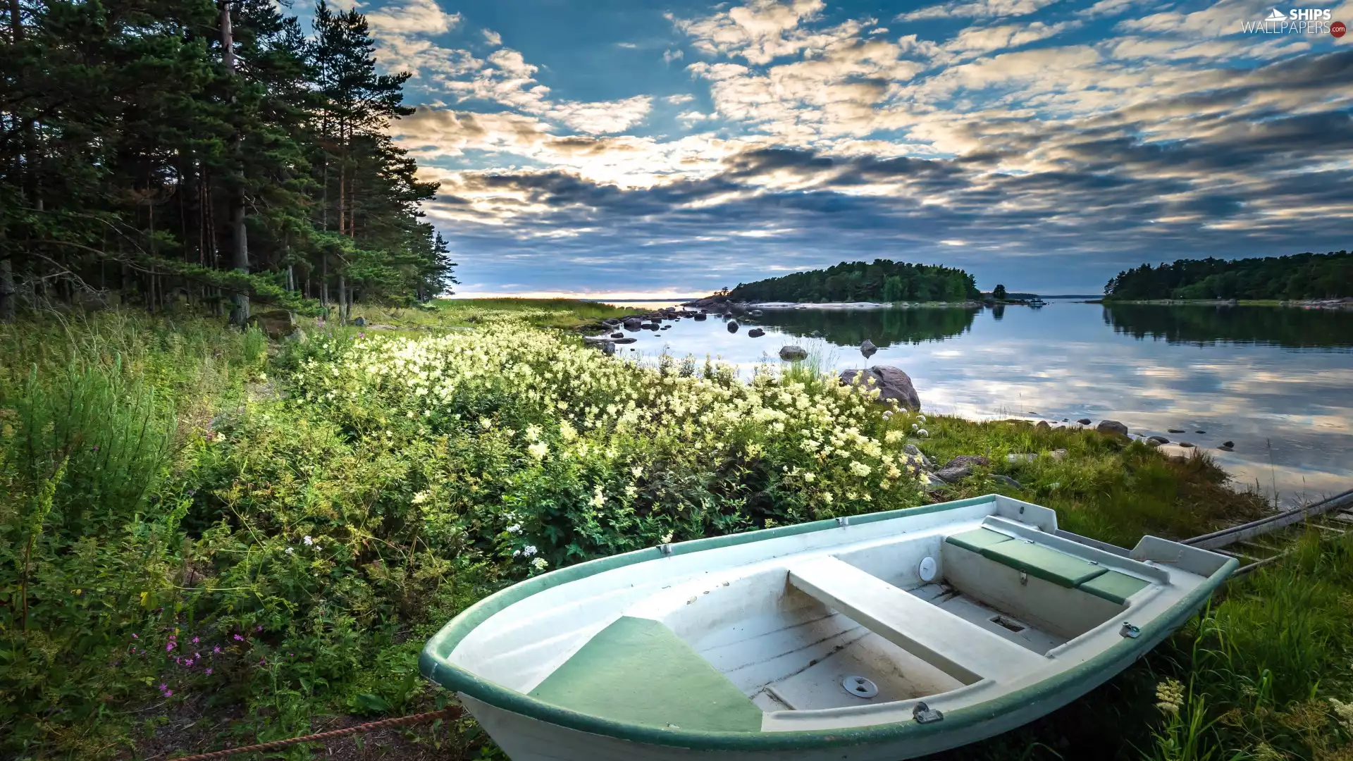 Boat, lake, viewes, Plants, trees, coast