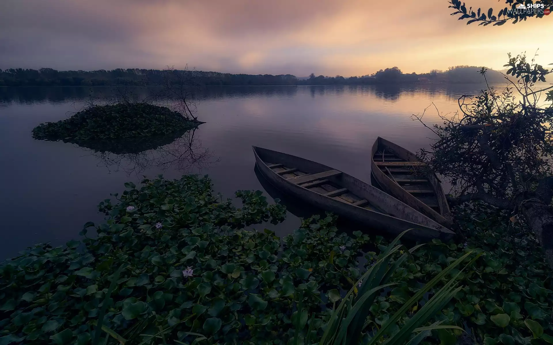 trees, boats, morning, Plants, River, viewes, Sunrise