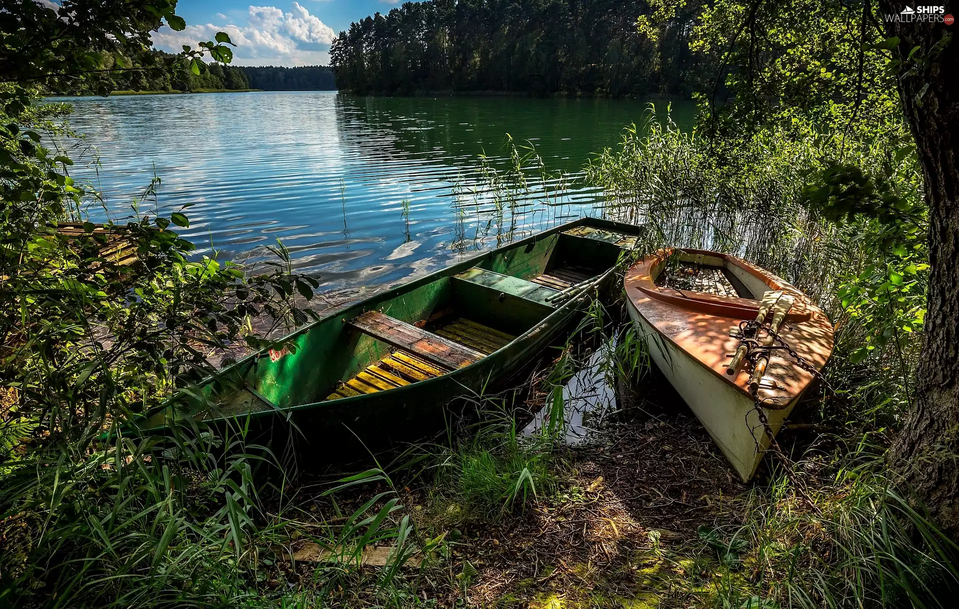 boats, River, viewes, Plants, trees, Two