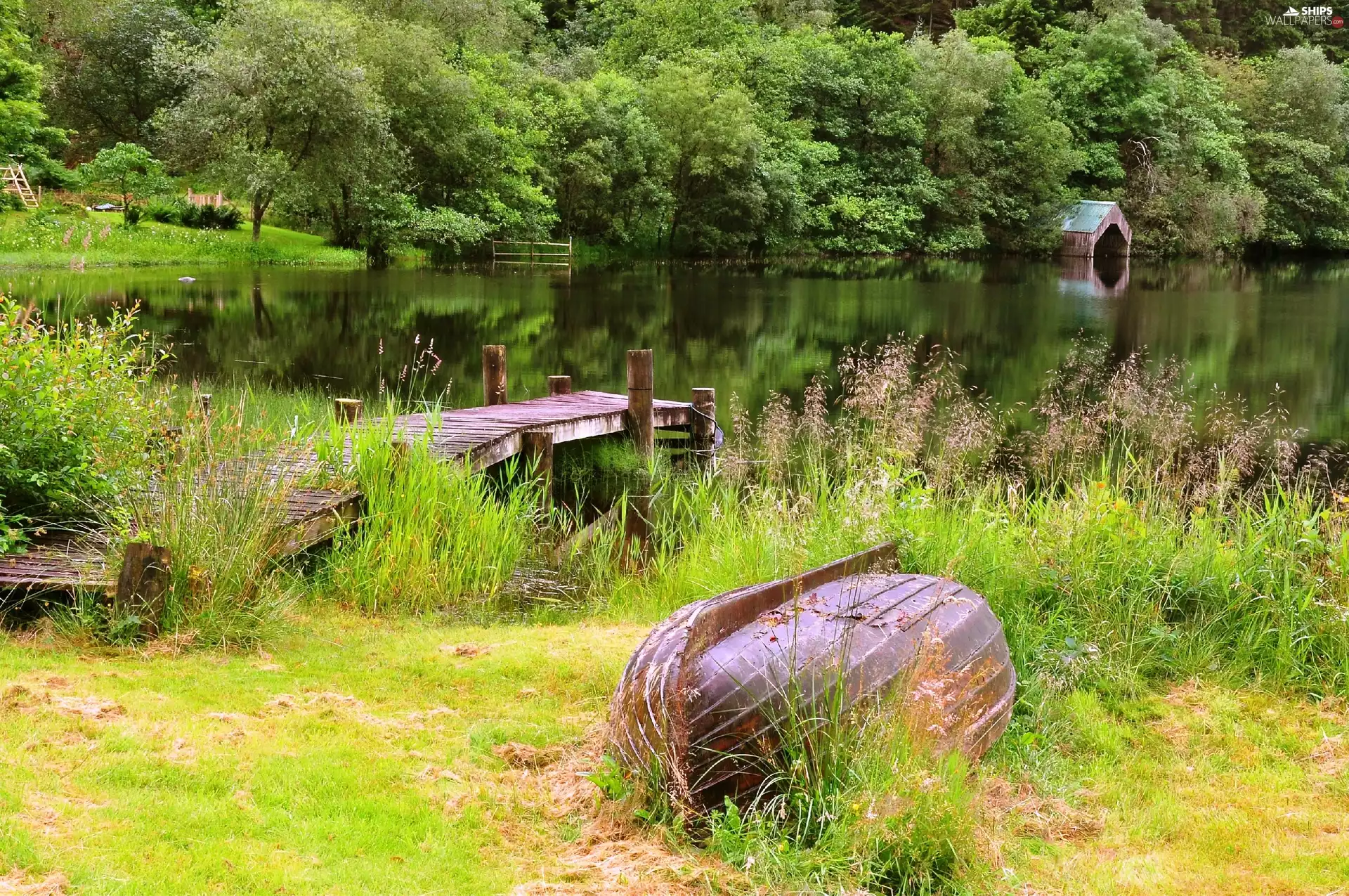 Boat, lake, forest, Platform