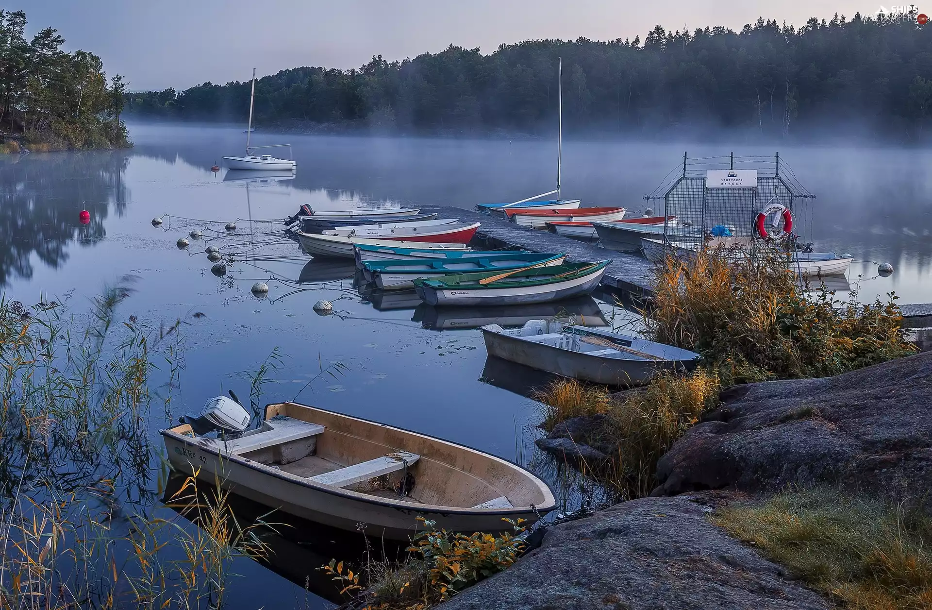 boats, Platform, coast, Fog, River