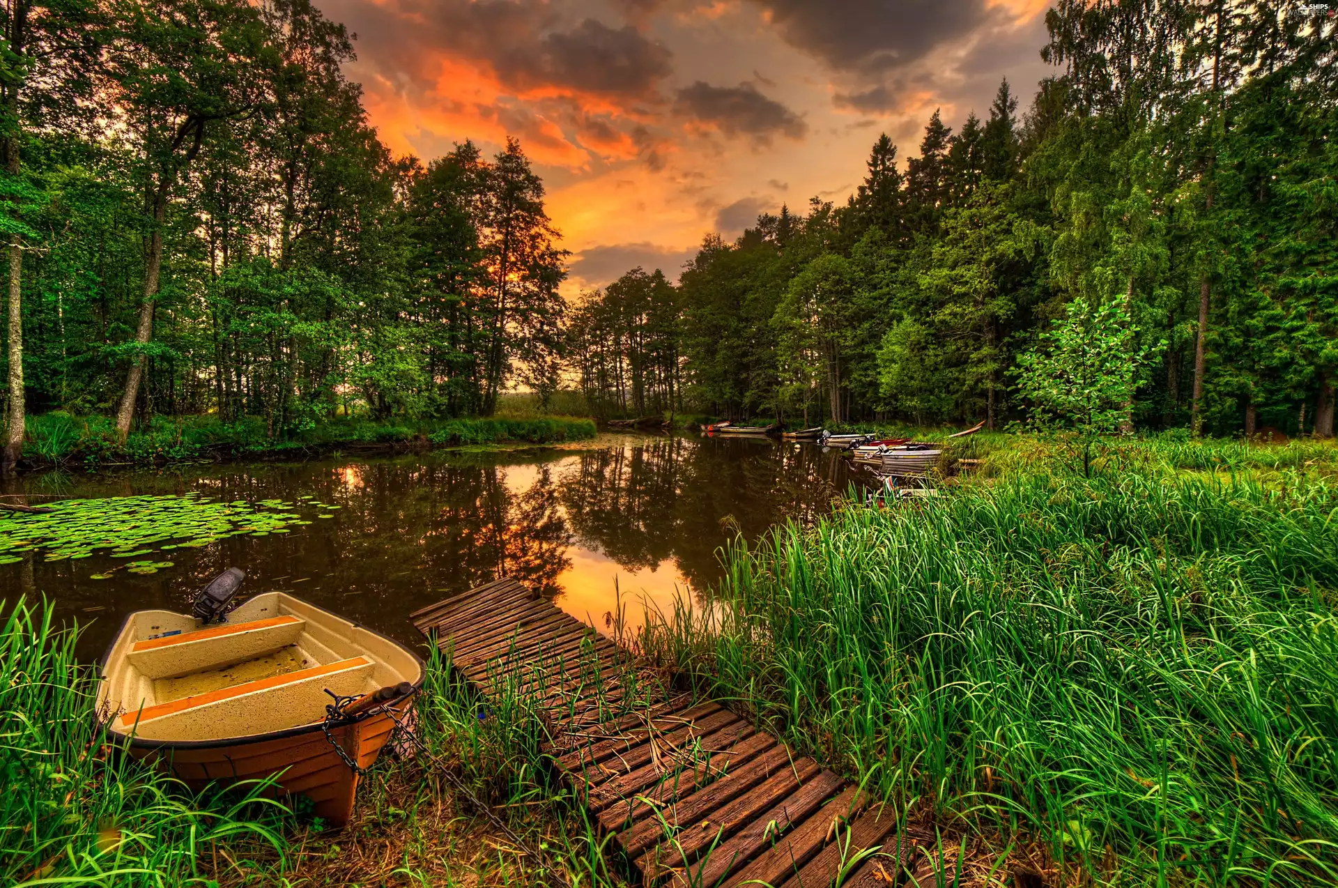boats, Platform, trees, viewes, lake