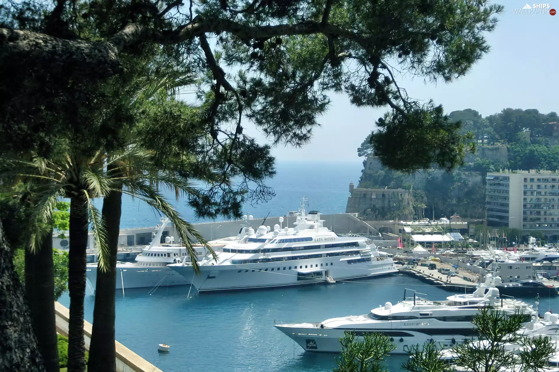 Monte Carlo, Yachts, port