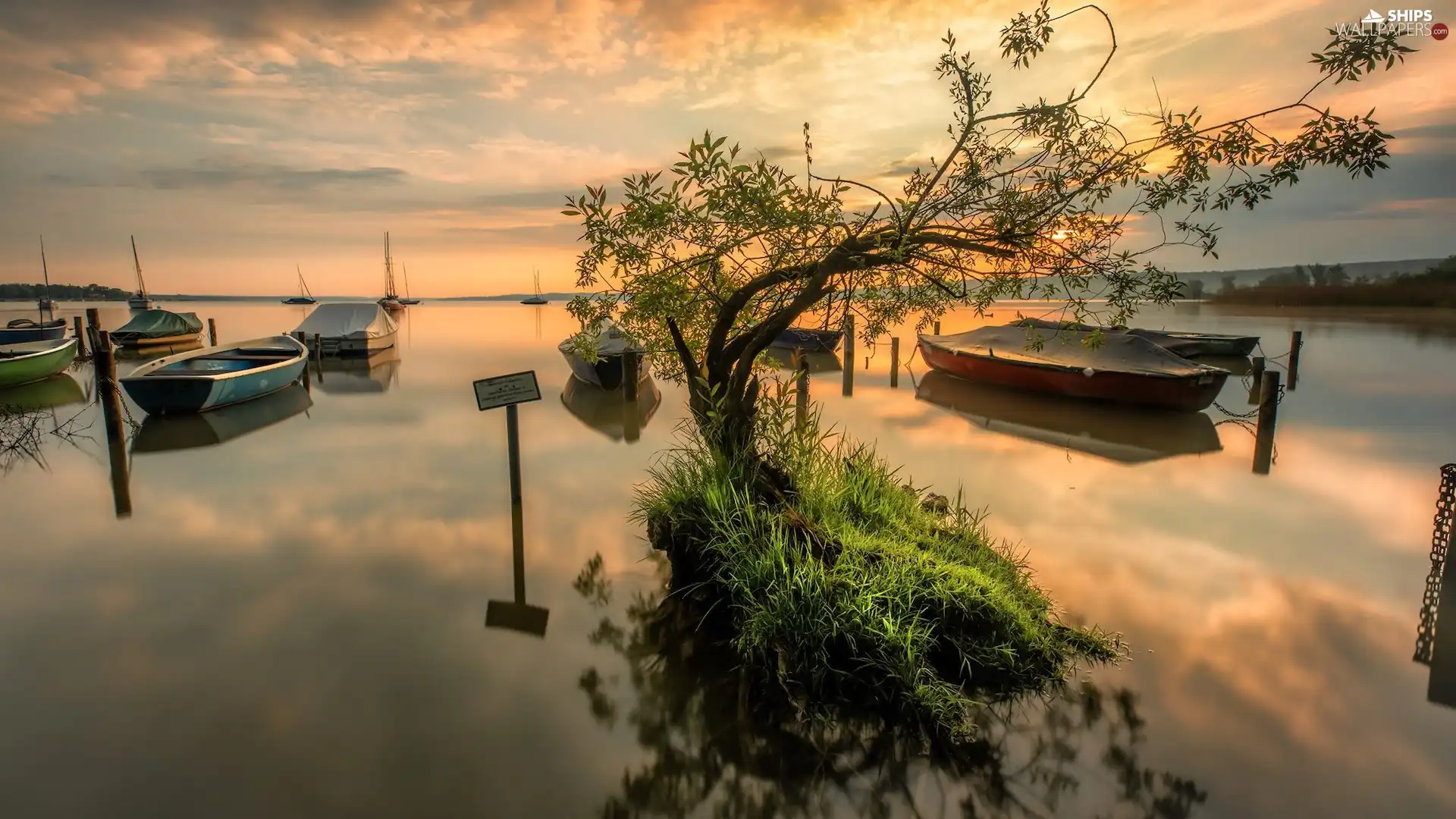 grass, reflection, boats, trees, lake