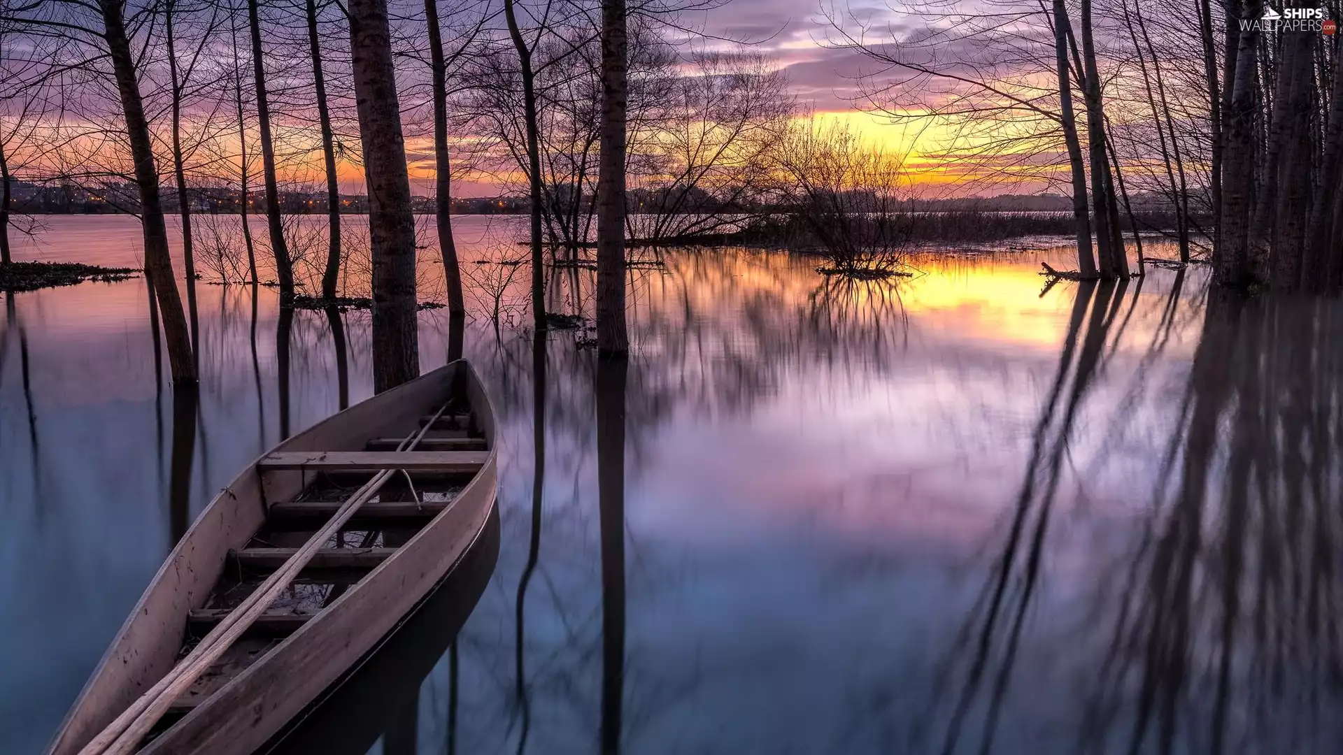 trees, Wooden, Great Sunsets, Boat, lake, viewes, reflection