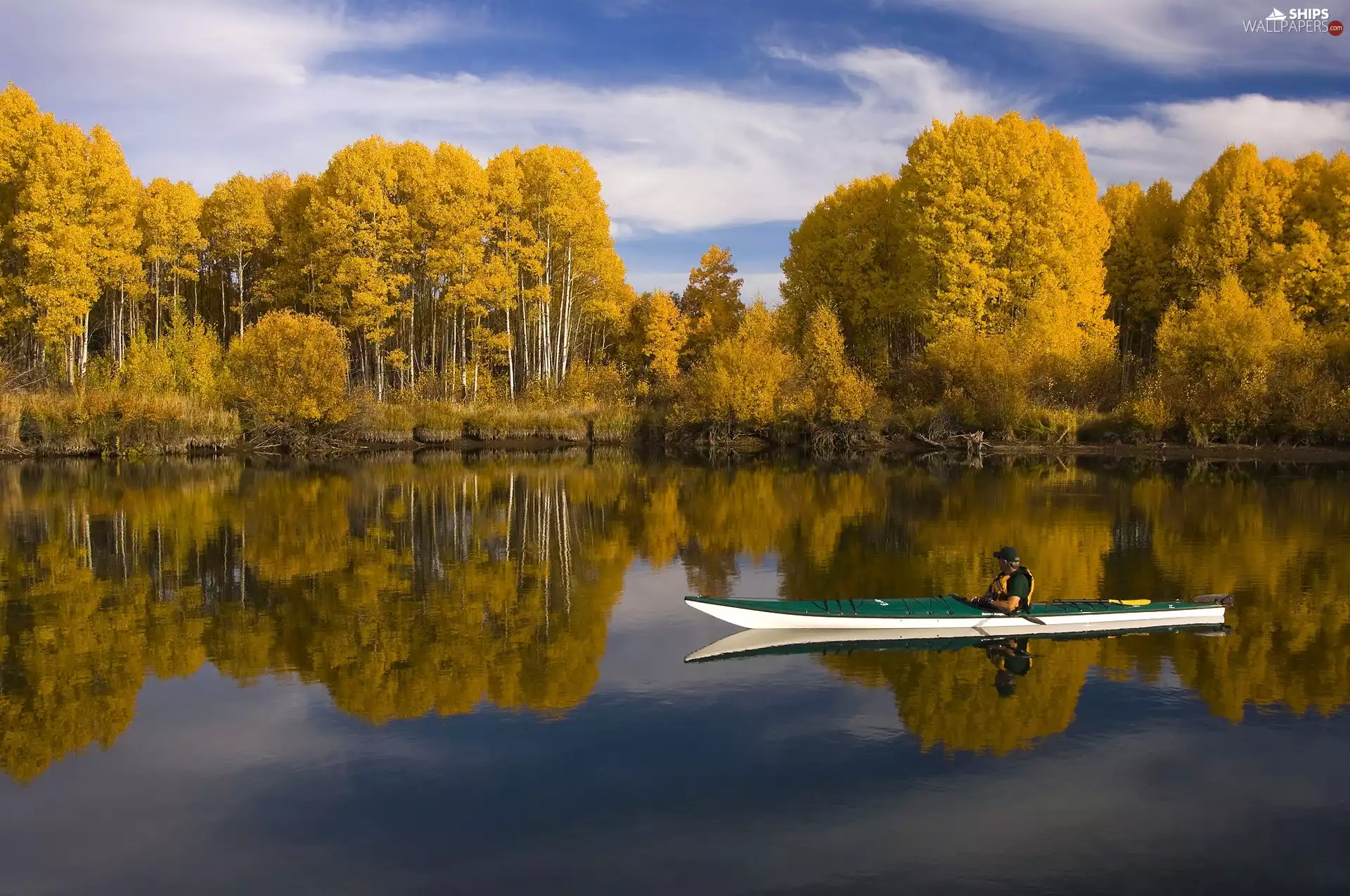 birch, reflection, lake, Kayak, autumn