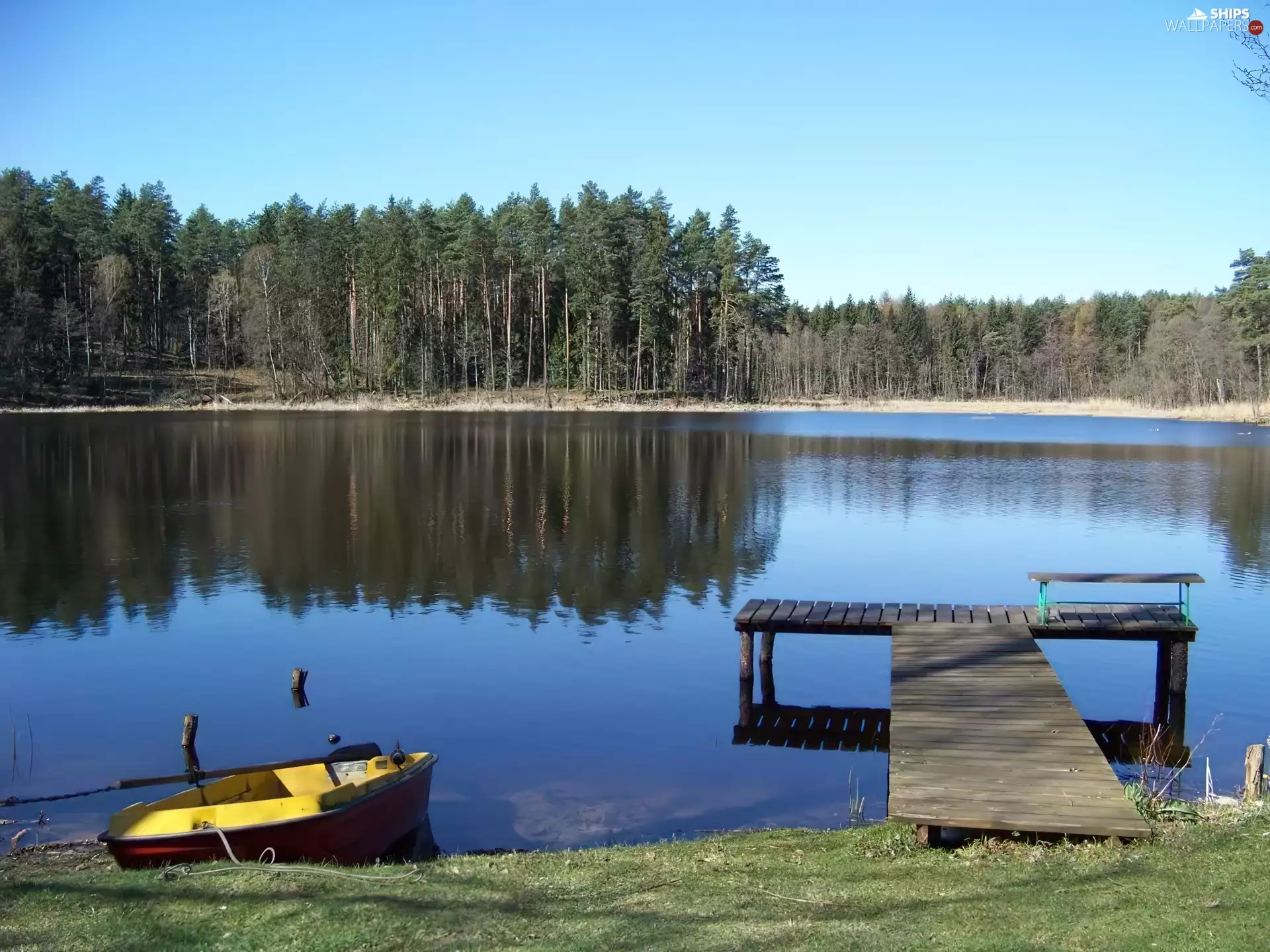 Boat, reflection, lake, Platform, forest