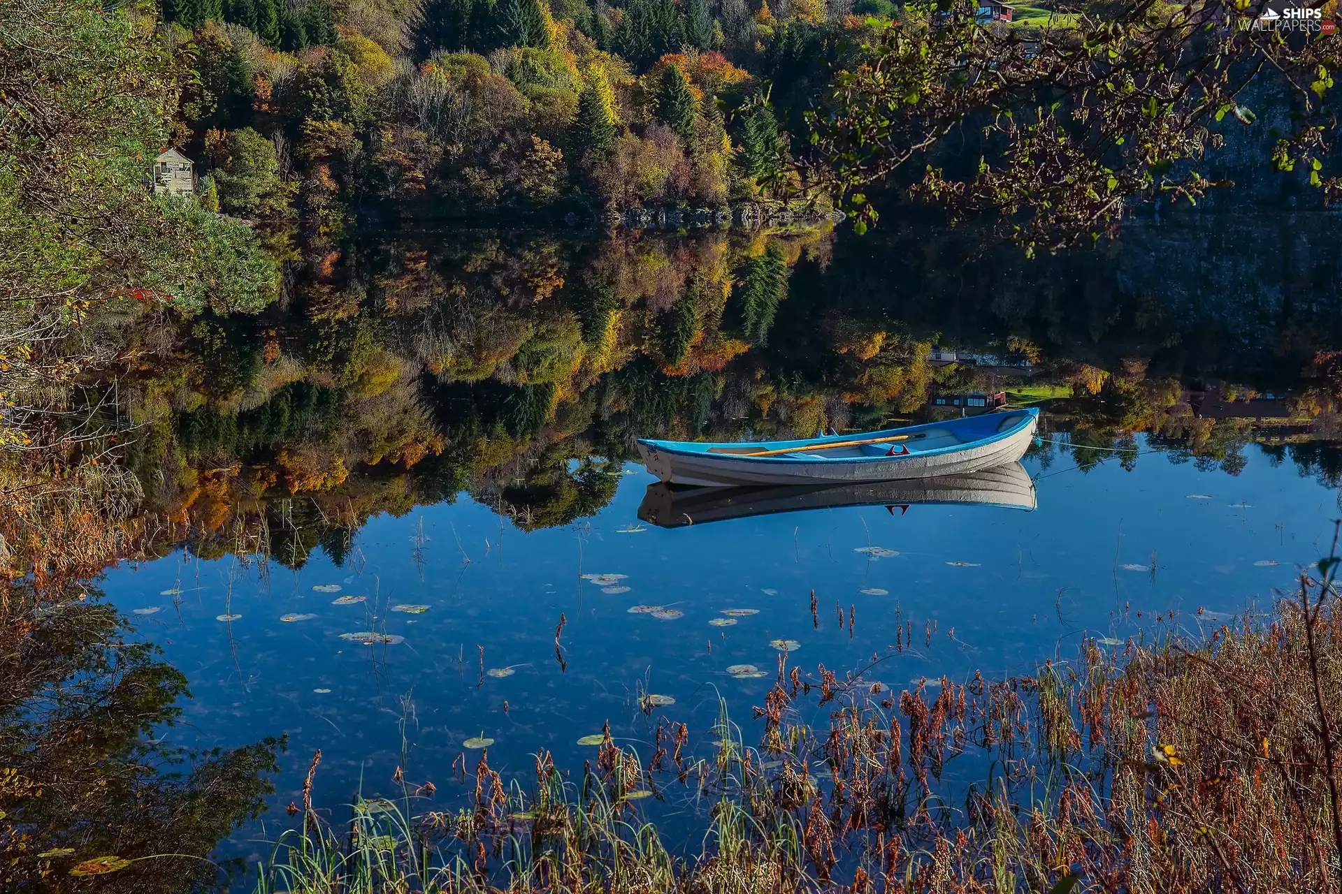 forest, reflection, lake, Boat, Norway