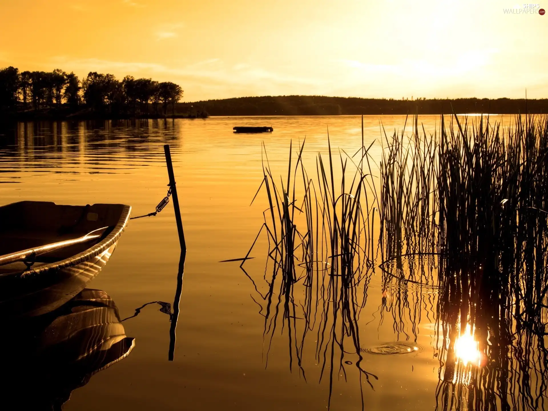 reflection, sun, moored, Boat, lake