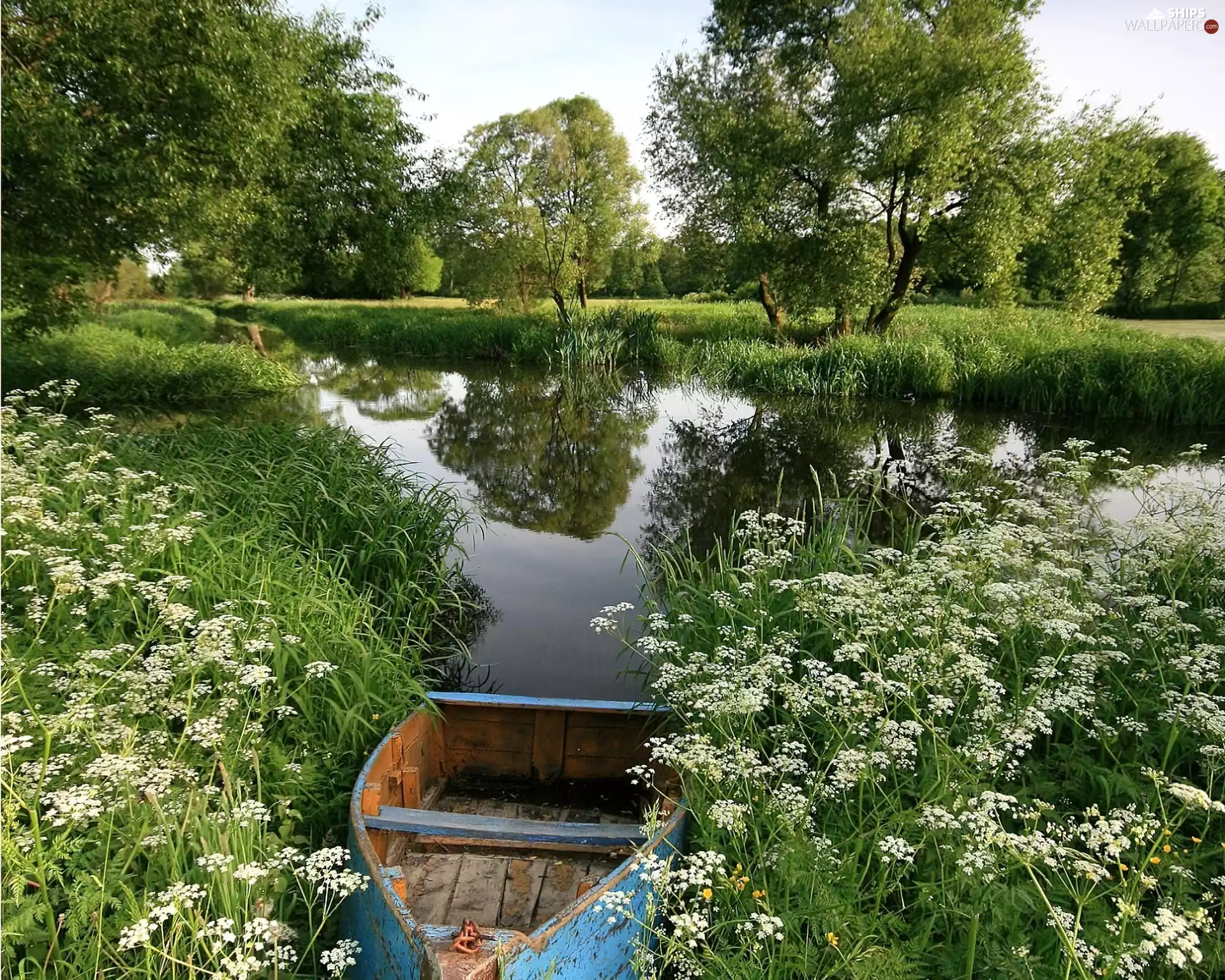 Meadow, Old, Boat, River