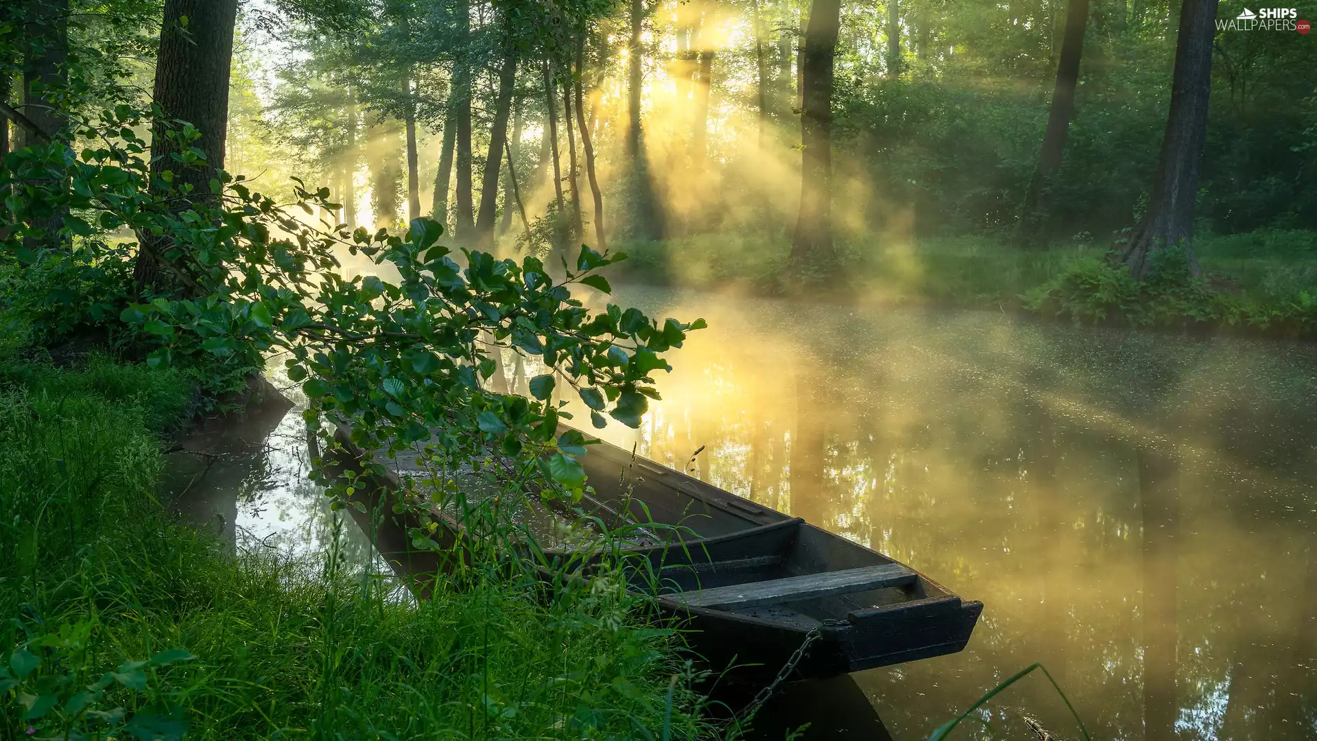 River, trees, Boat, viewes, forest, light breaking through sky, Fog