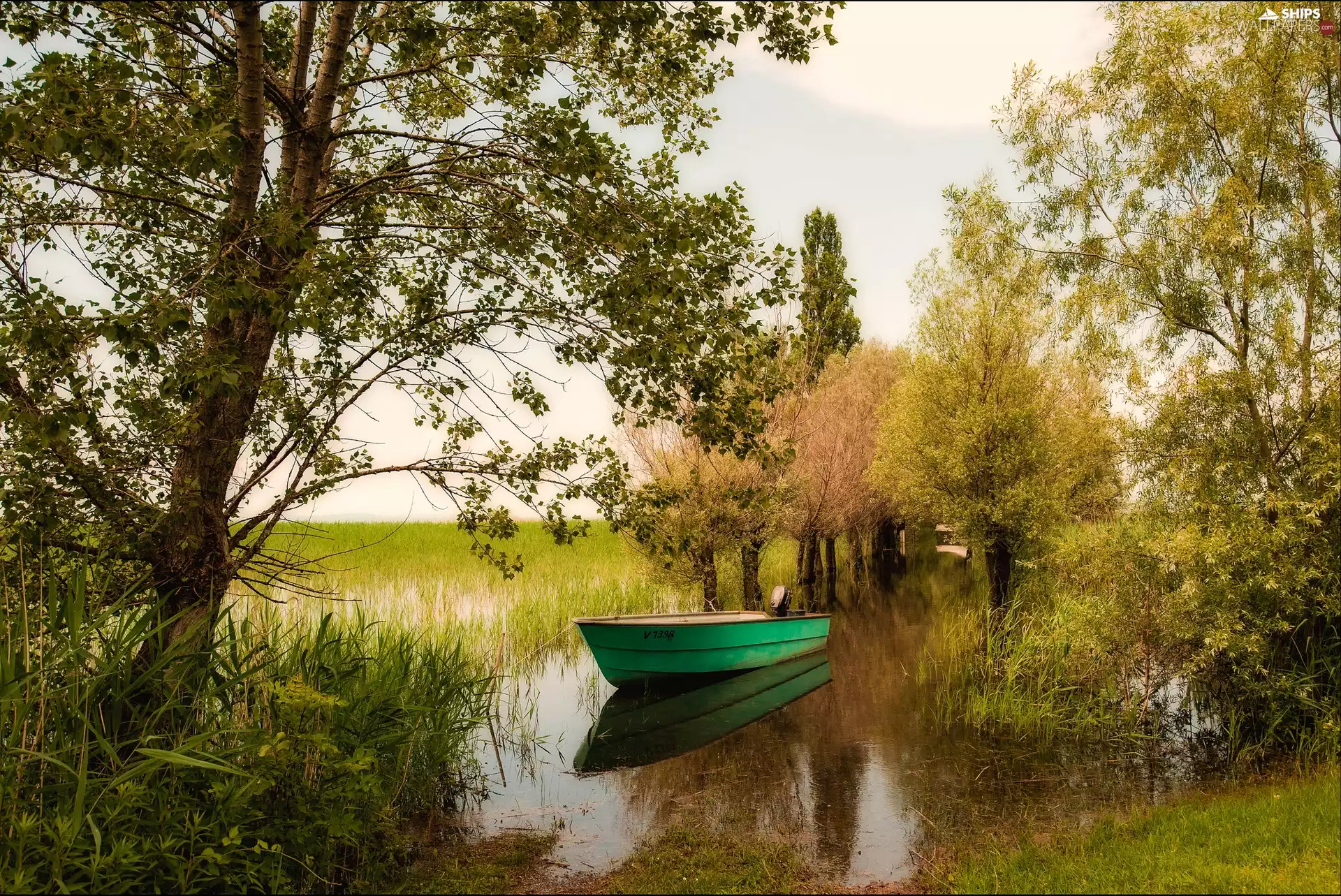 coast, rivers, Boat, Swampy, Green