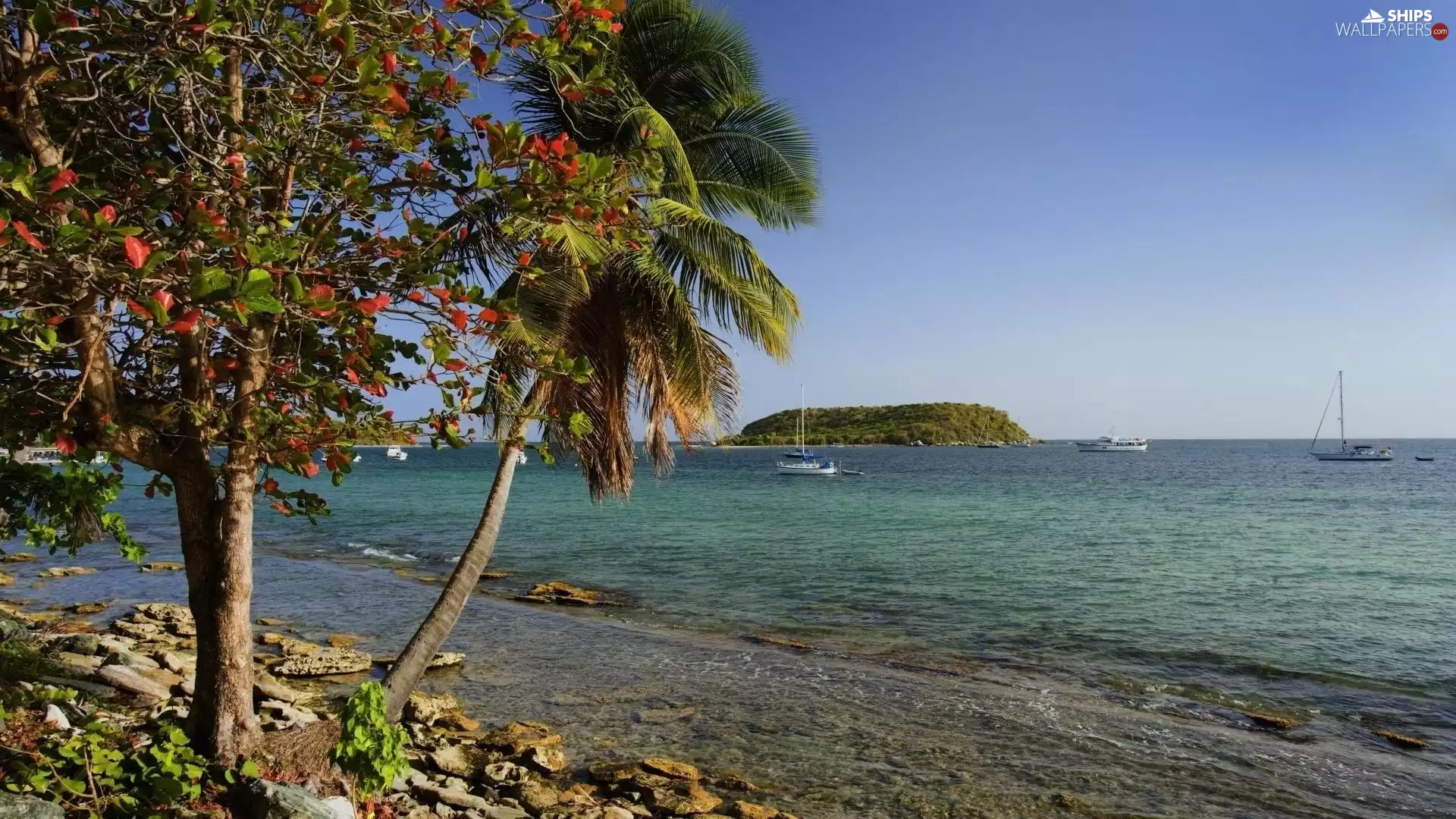 Palms, rocks, boats, Island, sea