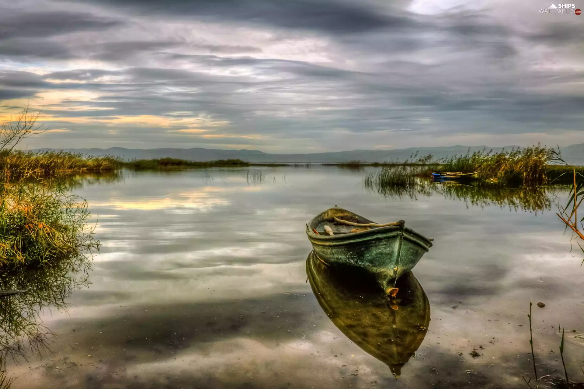 rushes, lake, Boat