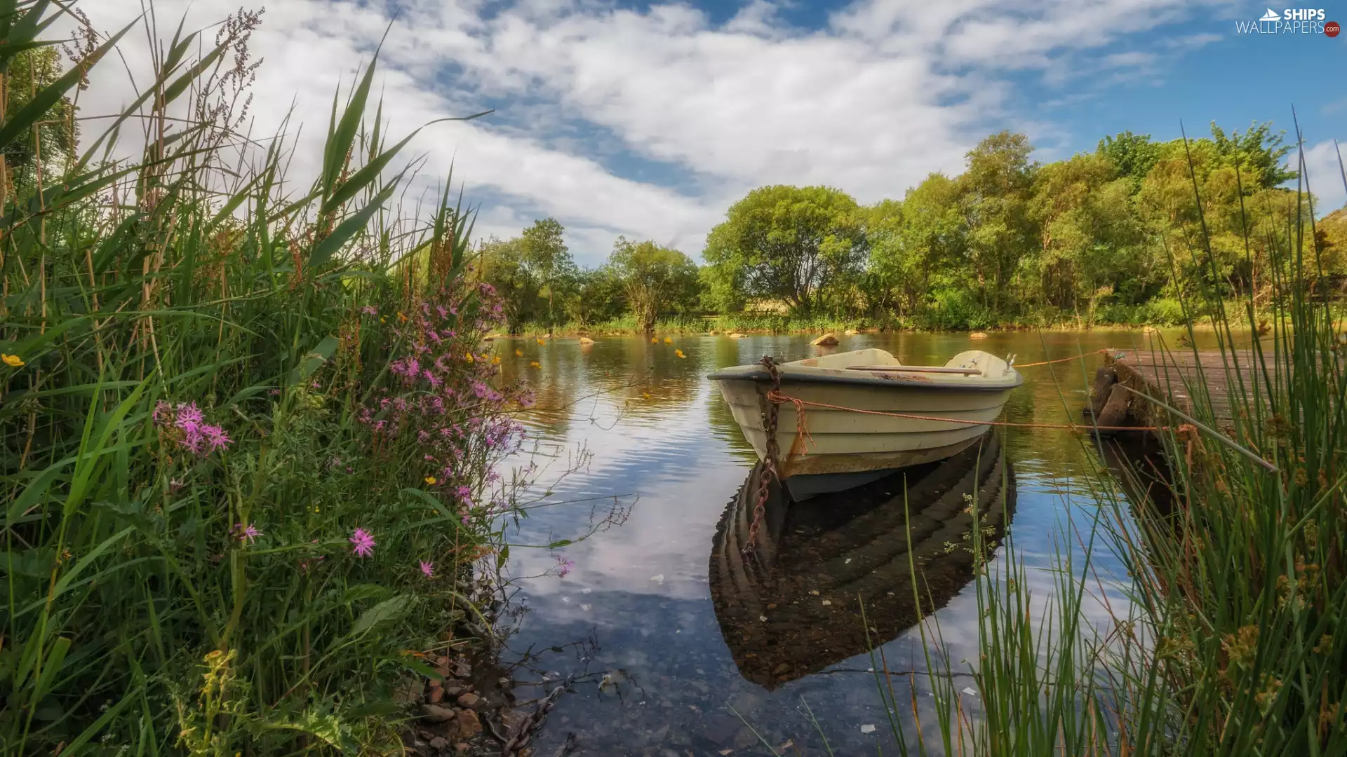 Flowers, Platform, viewes, rushes, Boat, trees, lake