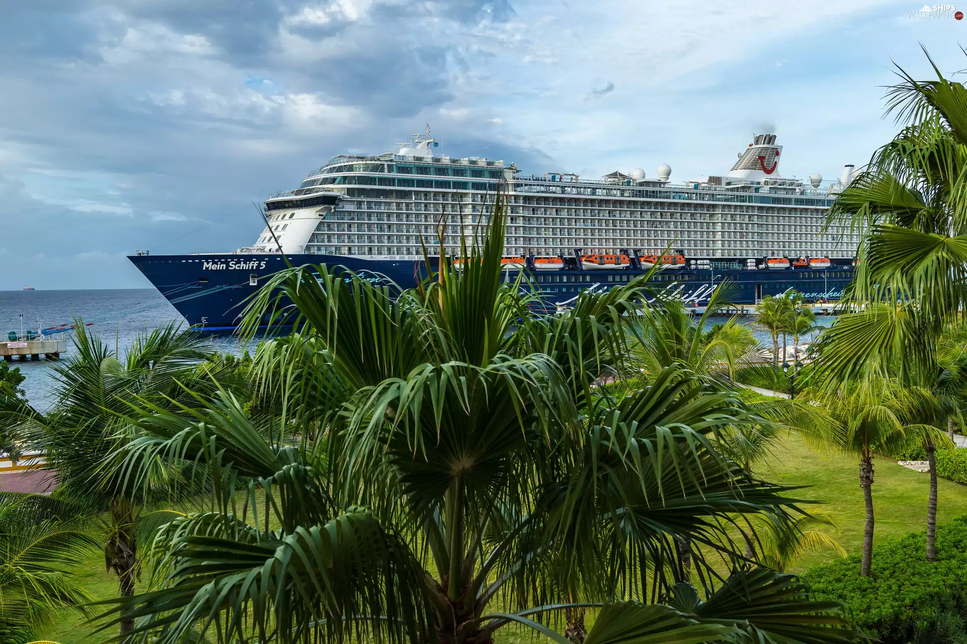 Cruise Ship Mein Schiff 5, Palms
