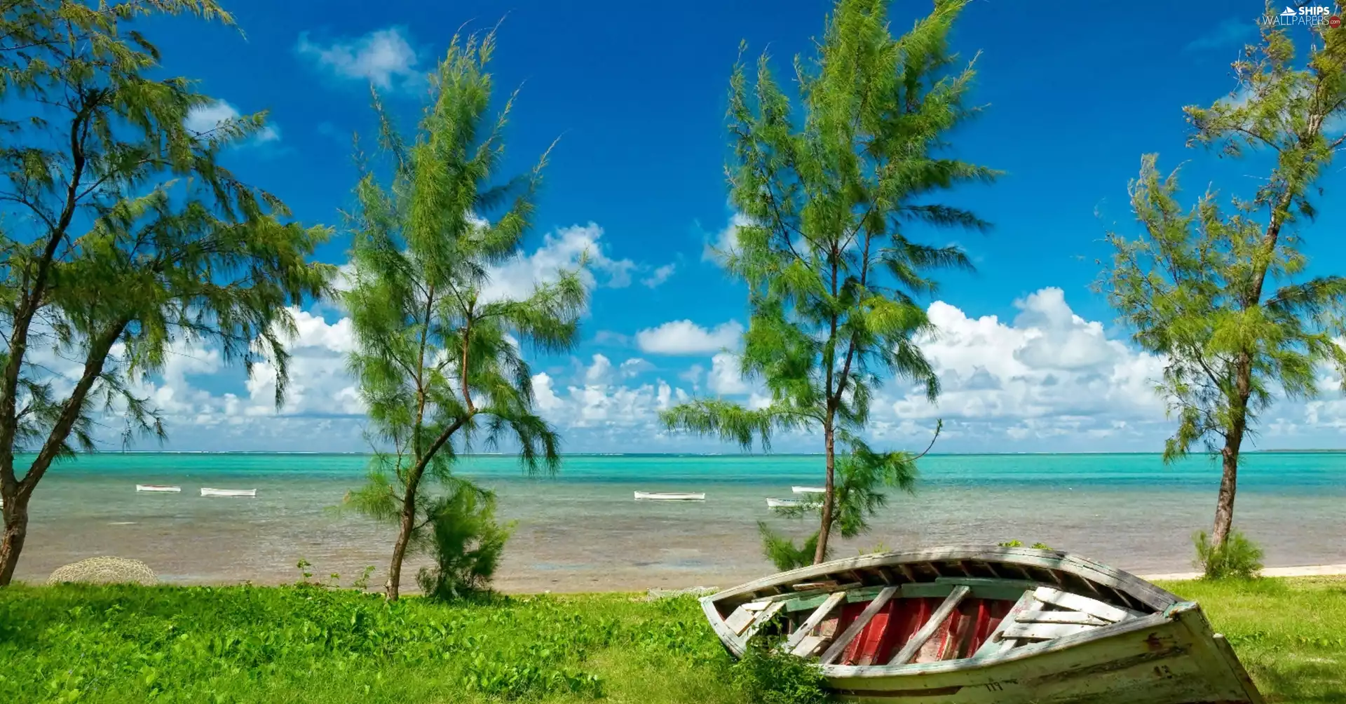viewes, sea, Beaches, trees, Boat