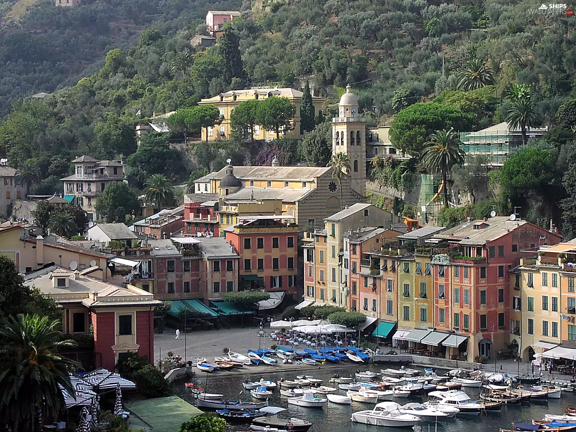 Liguria, Town, Boats, Portofino, Yachts, woods, Mountains, sea