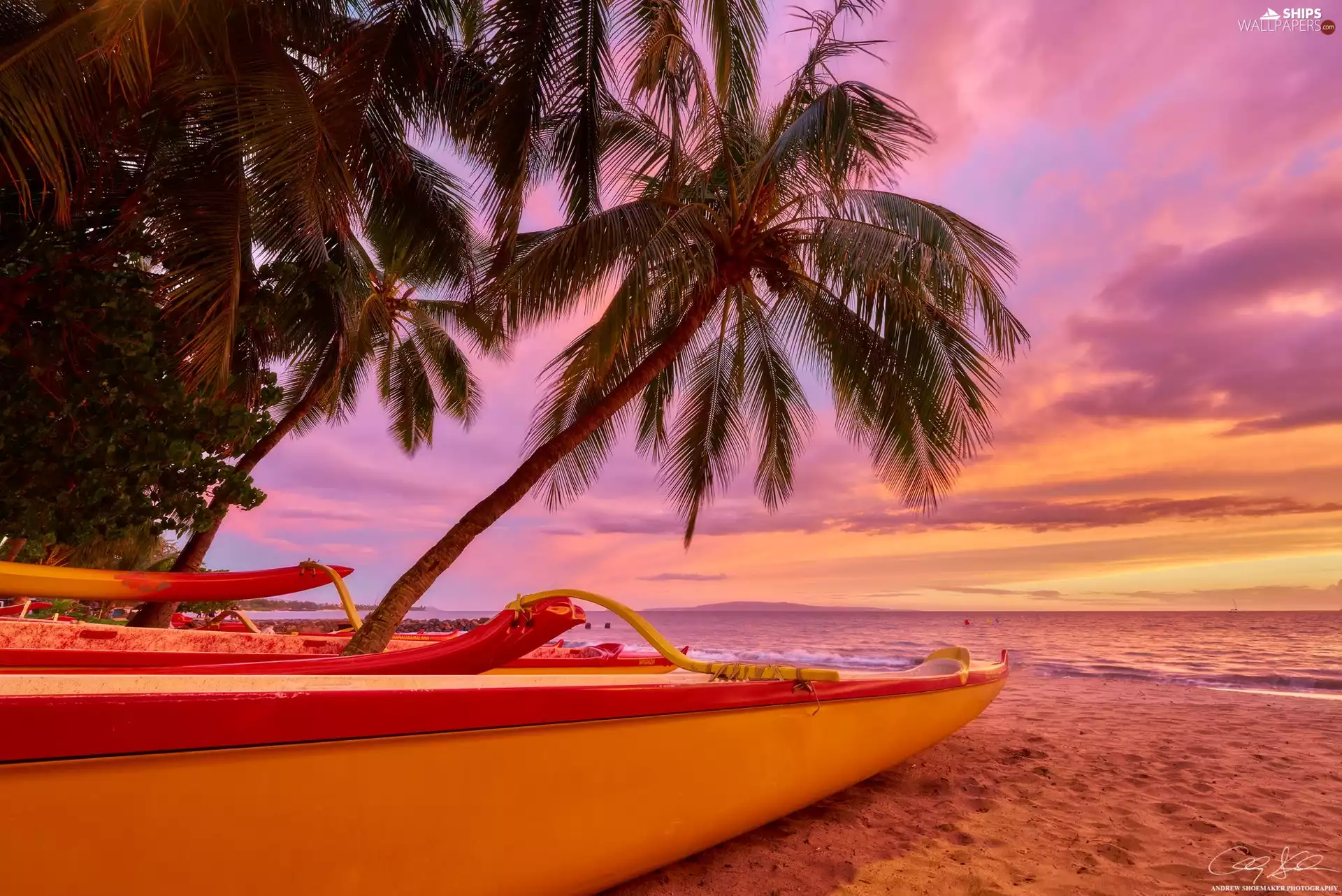 sea, Aloha State Hawaje, Palms, Great Sunsets, Kayaks, Maui Island