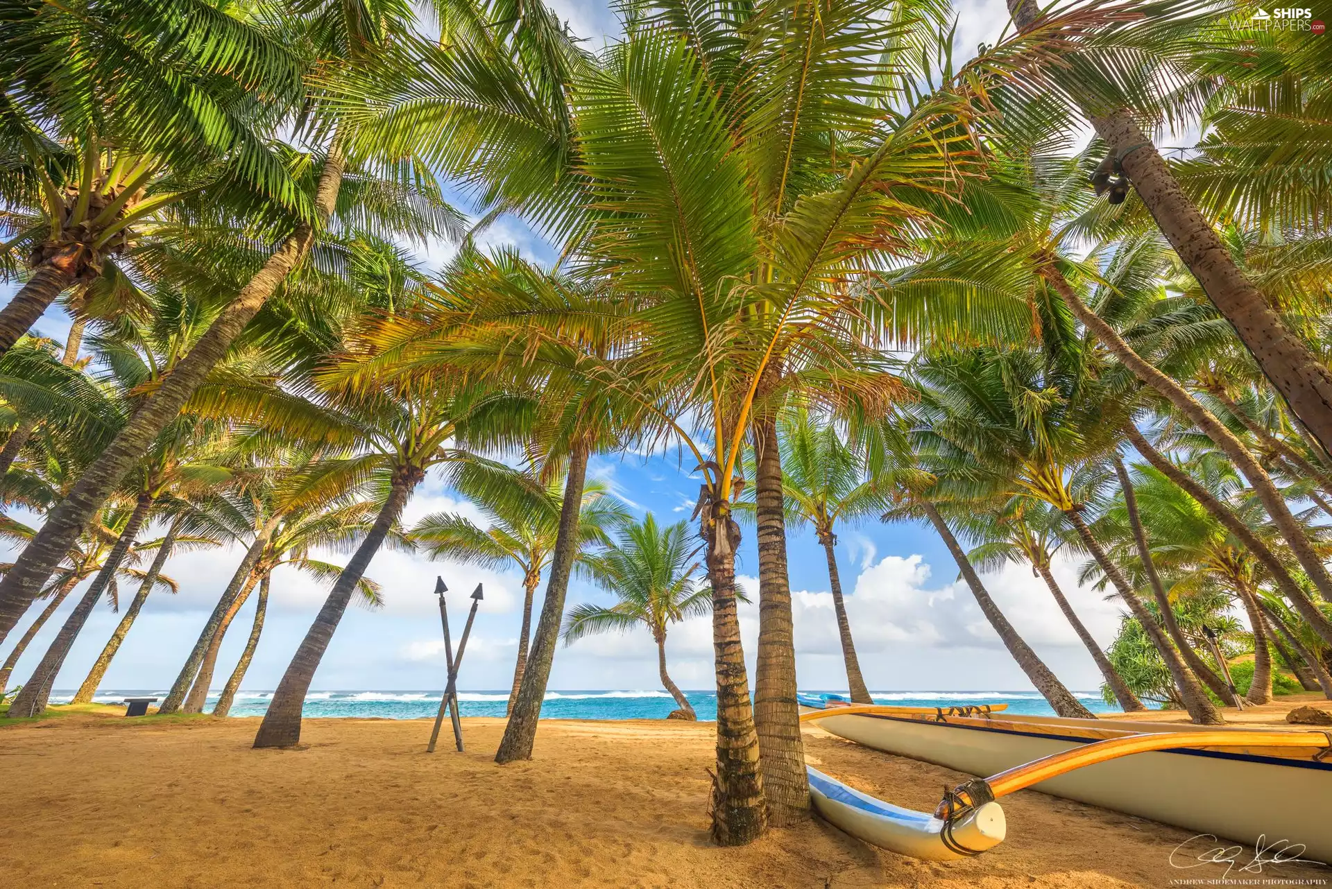 Beaches, Boat, Palms, sea, Aloha State Hawaje