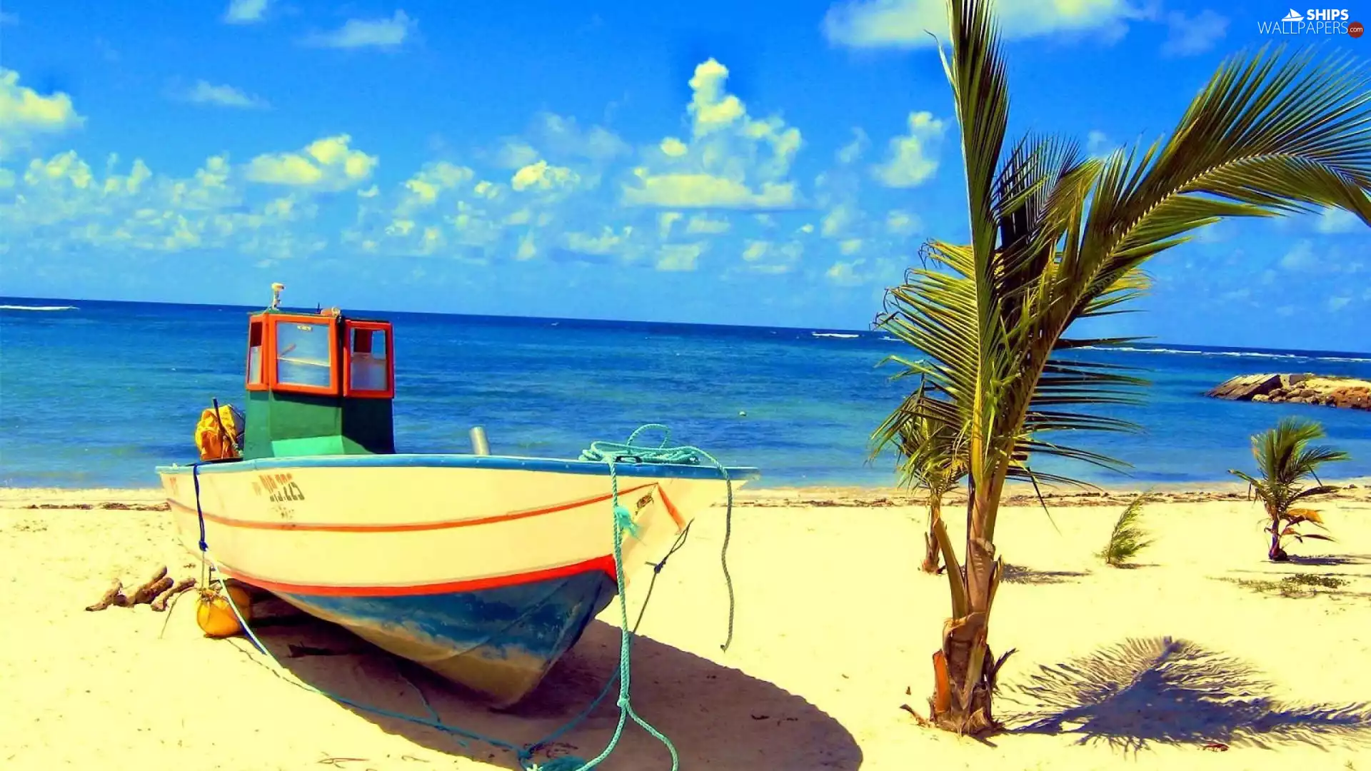 Palms, bath-tub, sea