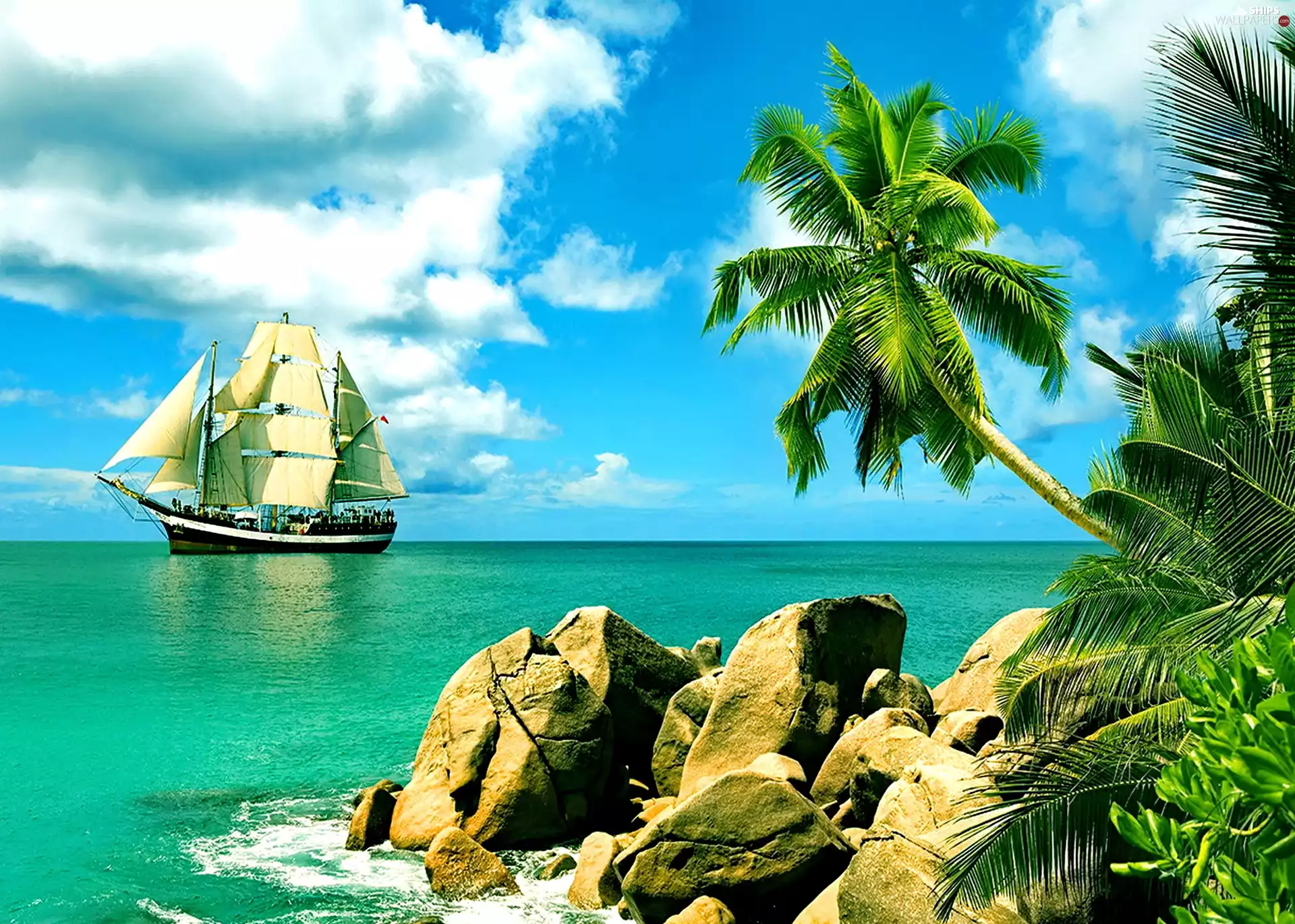 rocks, sea, sailing vessel, Palm