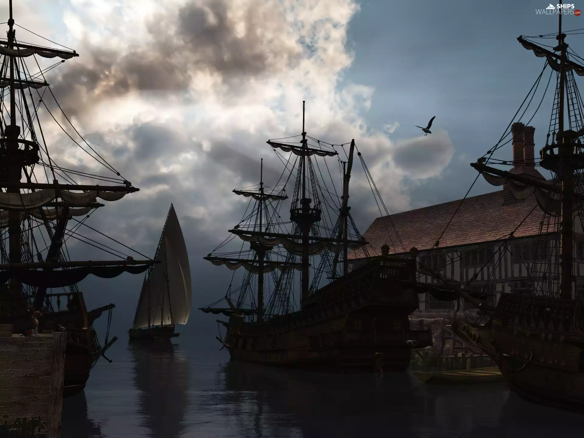 seagull, sailboats, port