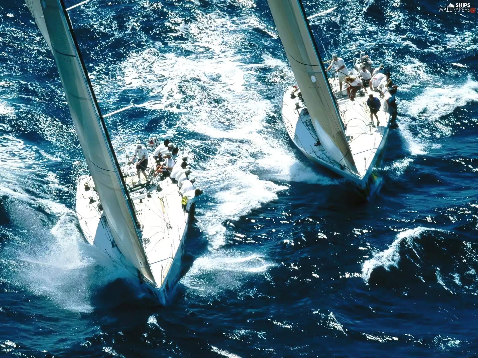sealing, 2 Yachts