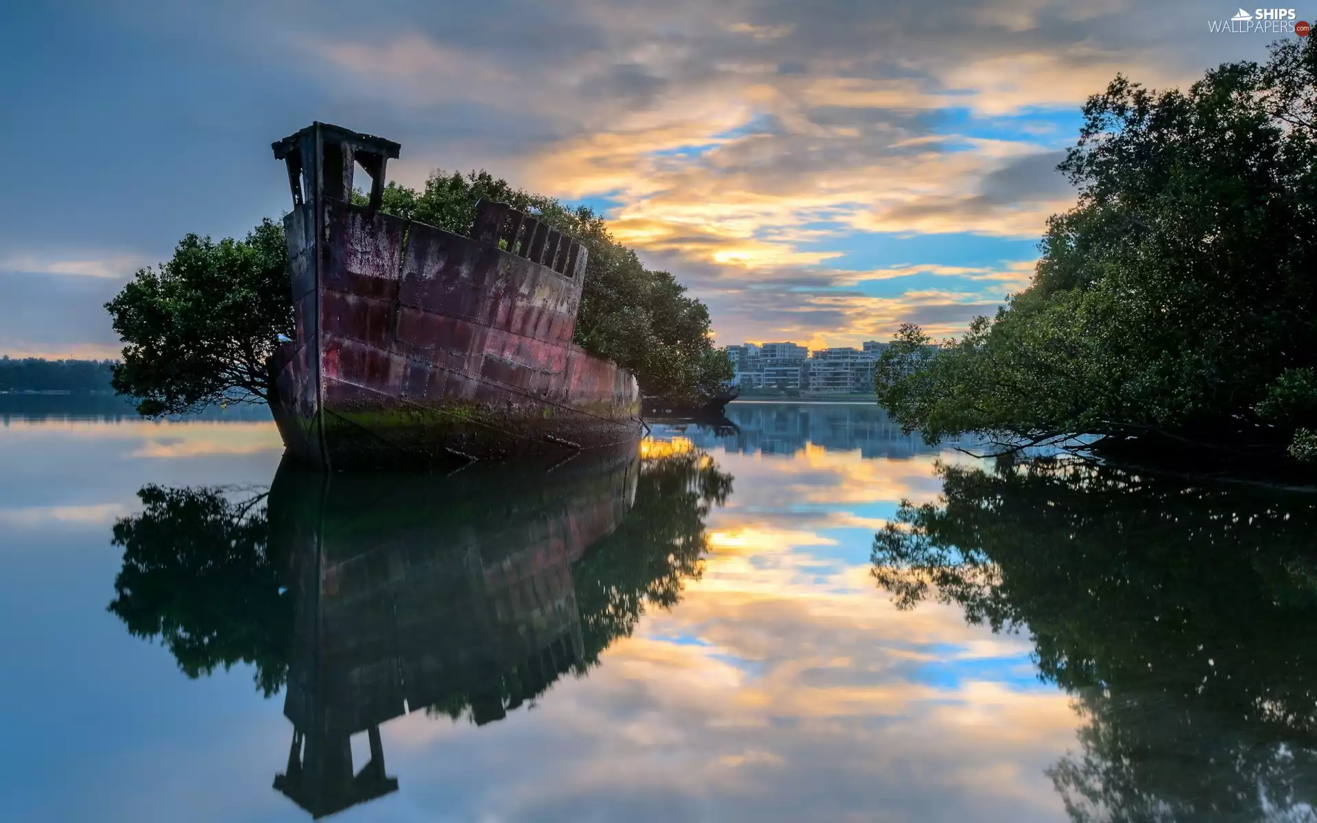 trees, lake, wreck, ship, viewes, buildings