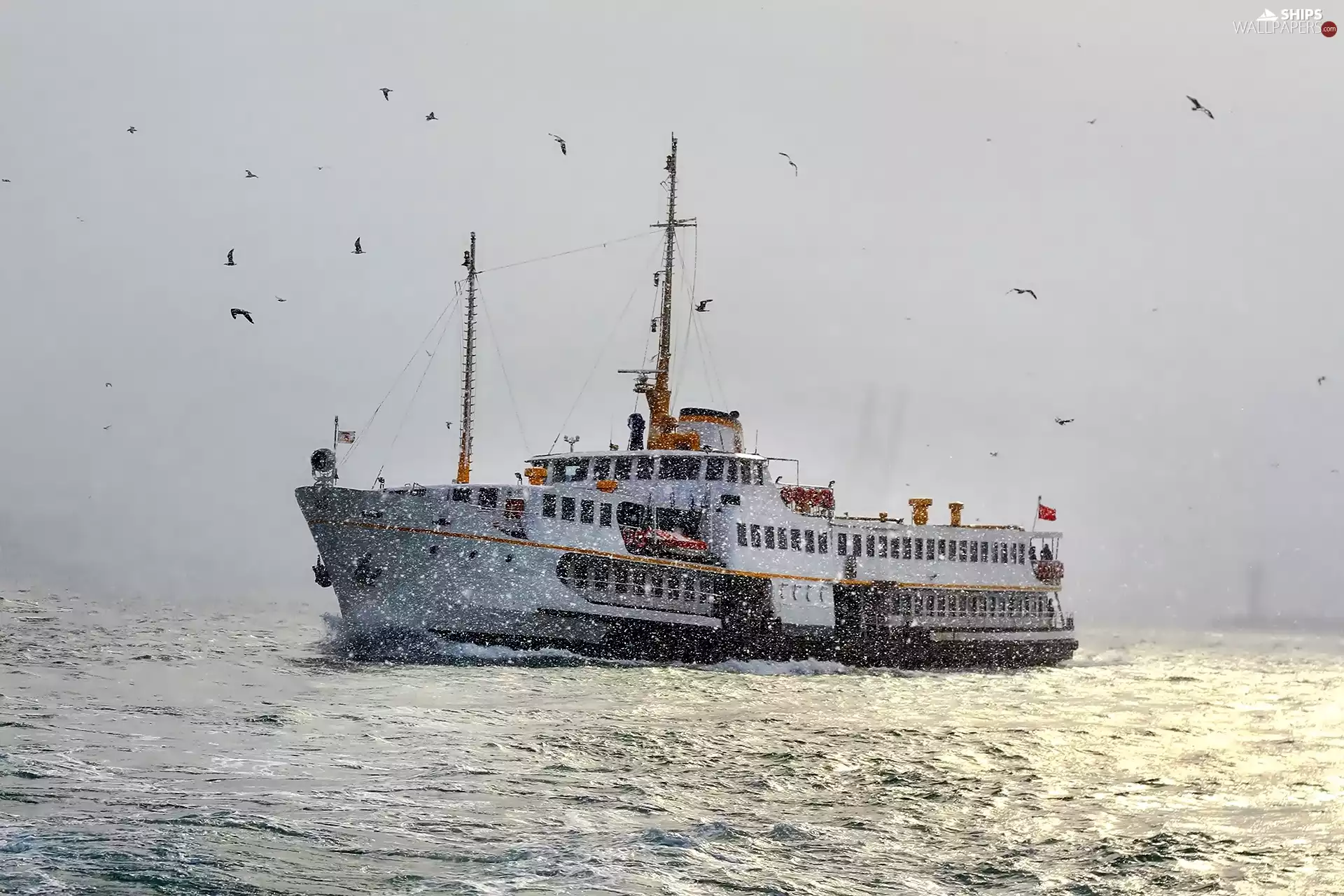 incident, snow, Ship, birds, sea