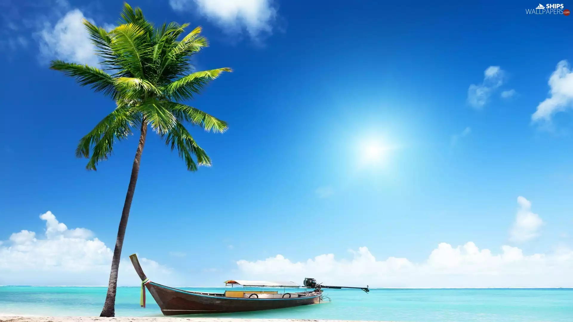 Sky, summer, Boat, Palm, sea
