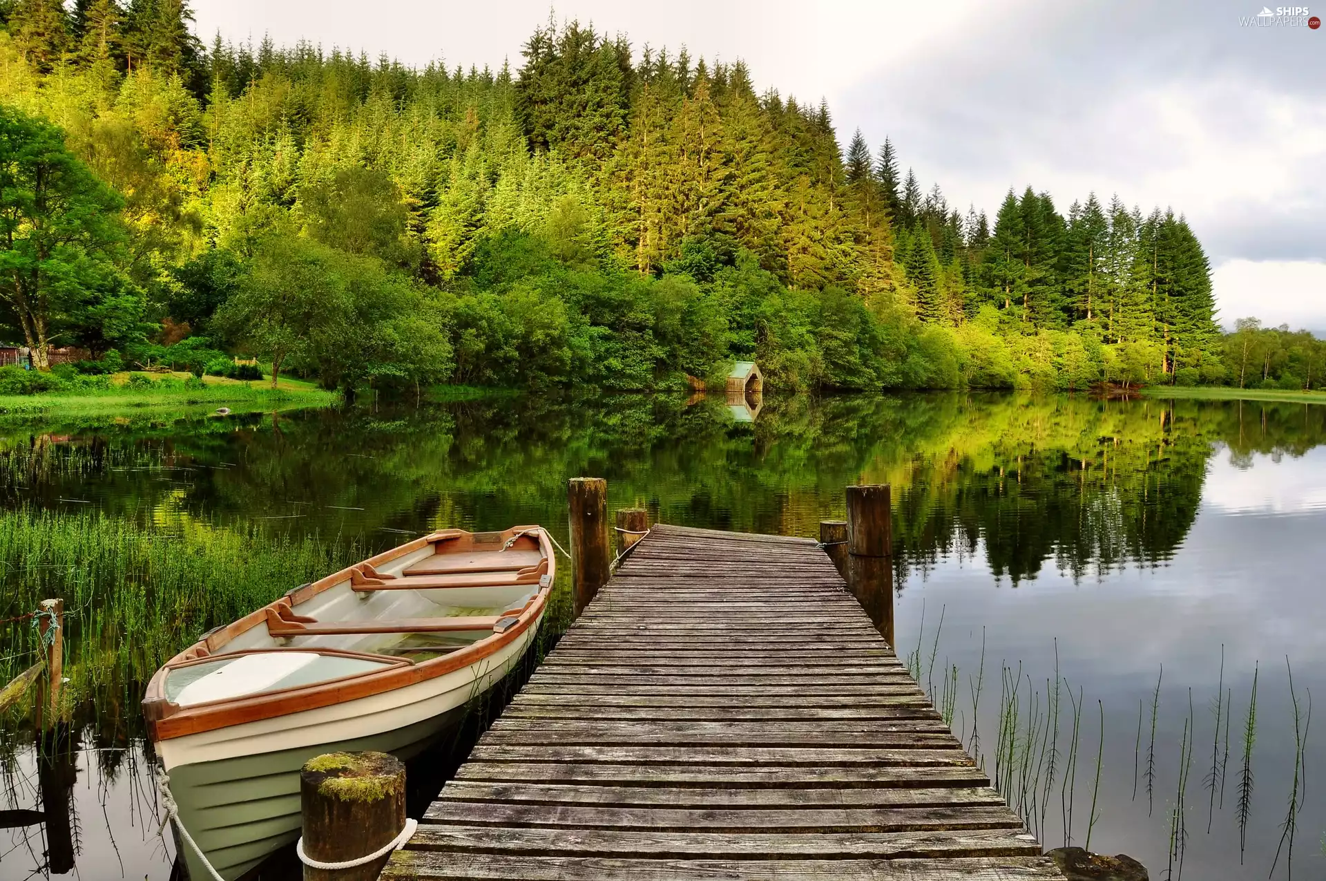 forest, summer, Platform, Boat, lake