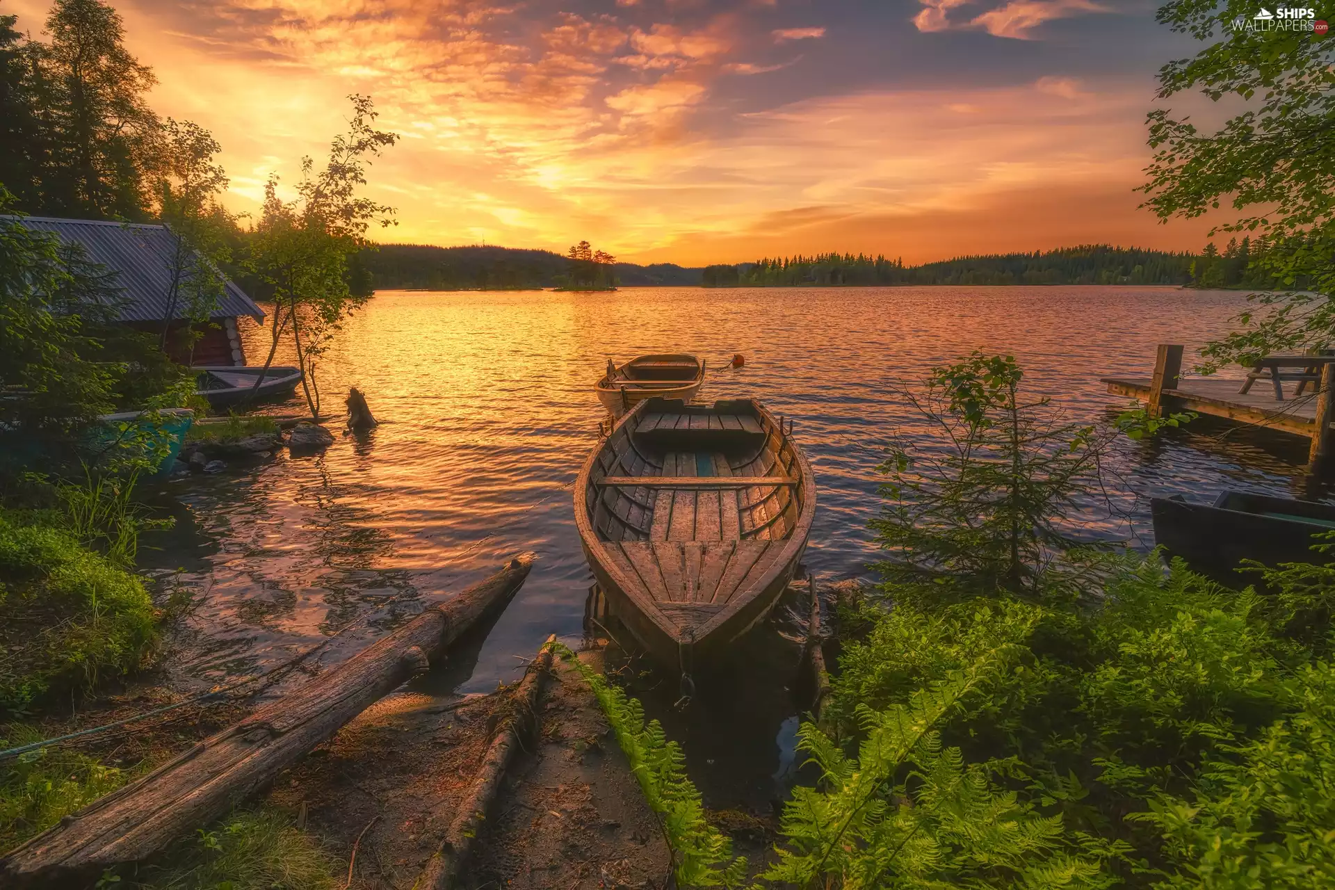 trees, lake, west, sun, viewes, Boat