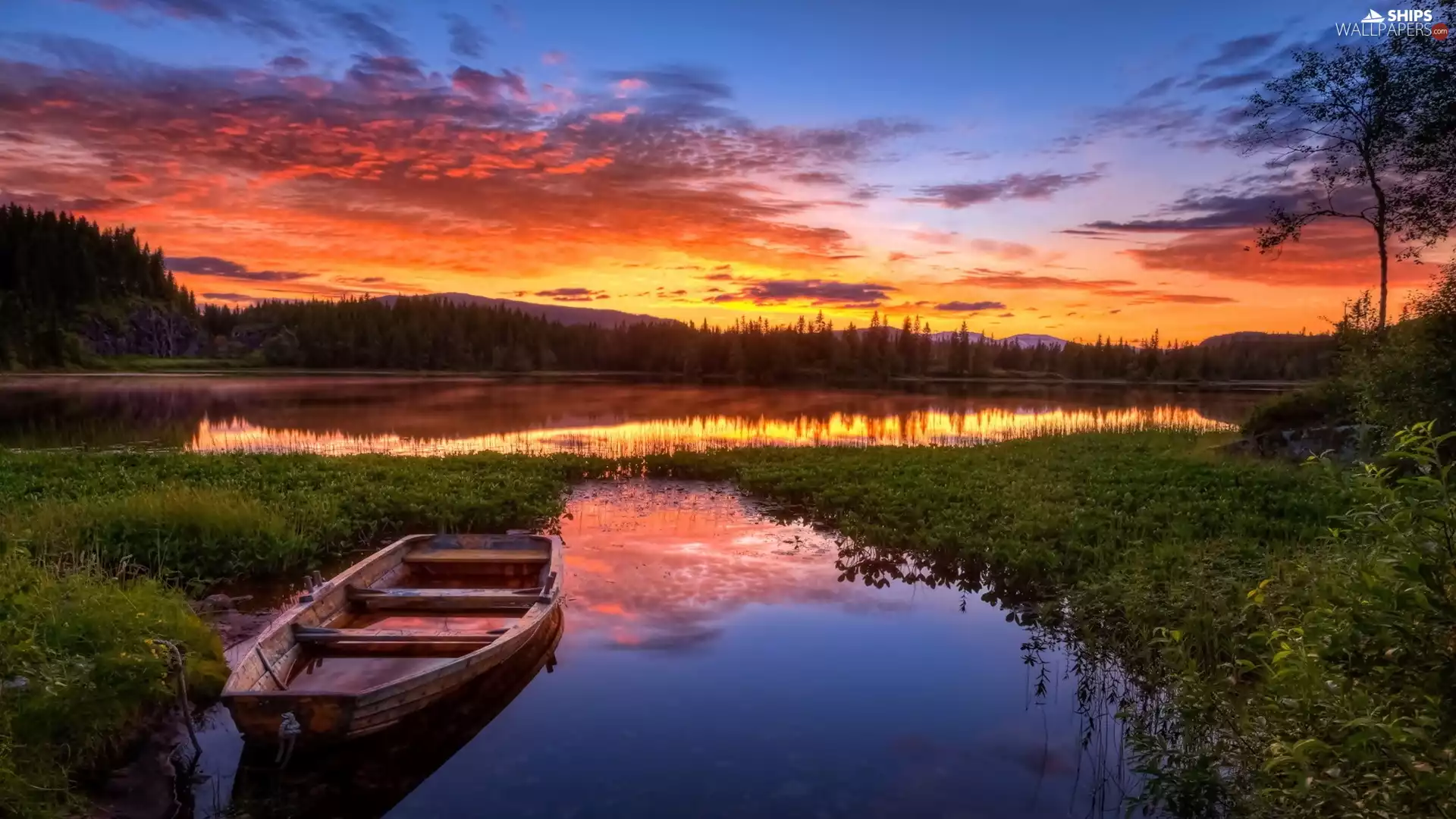 woods, lake, west, sun, Mountains, Boat