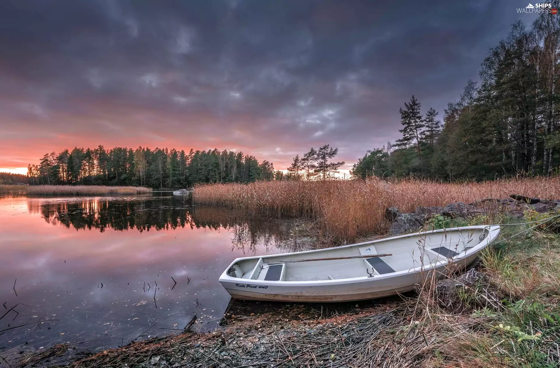 Boat, lake, west, sun, grass, forest