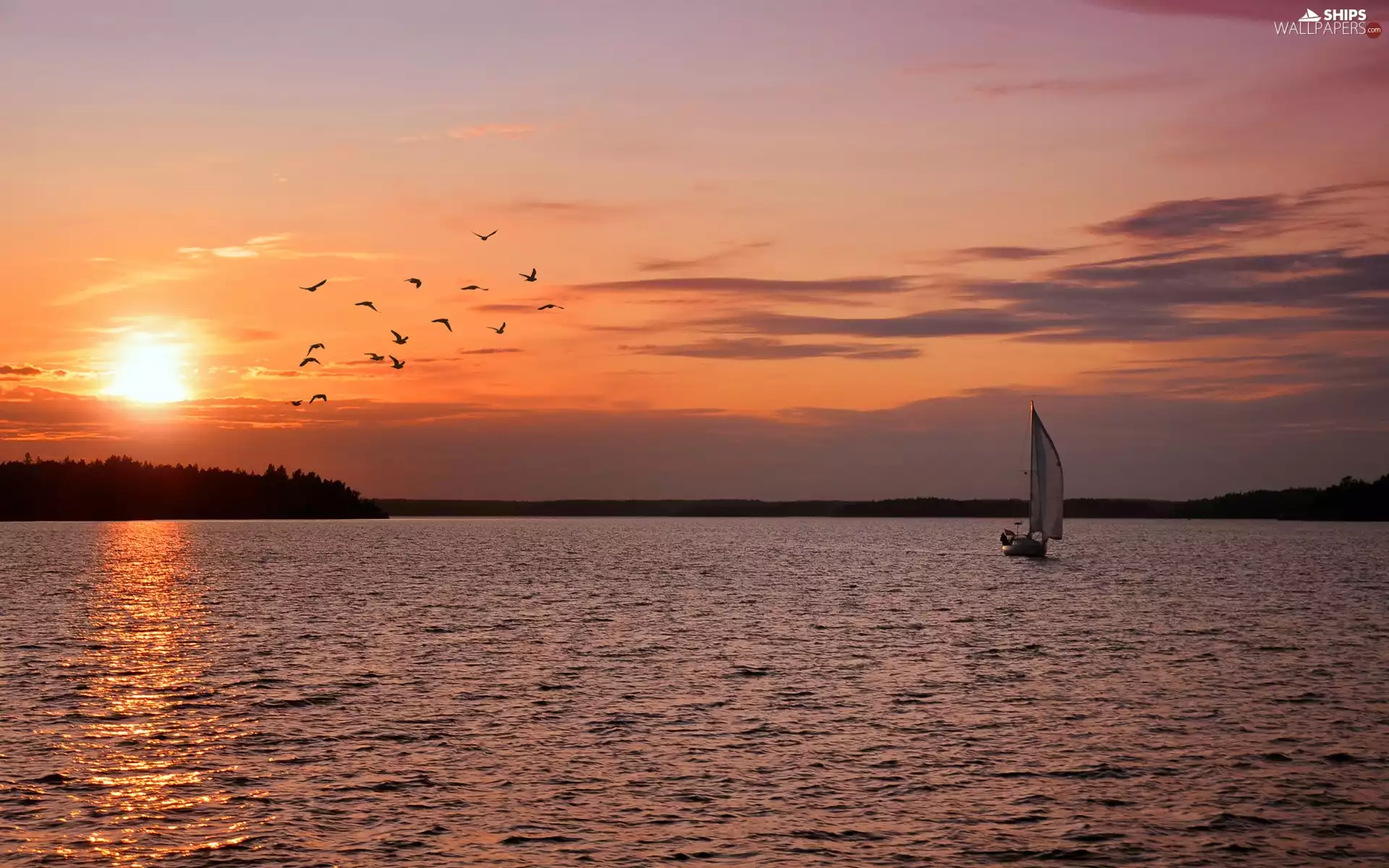 west, sun, Lodz, birds, lake