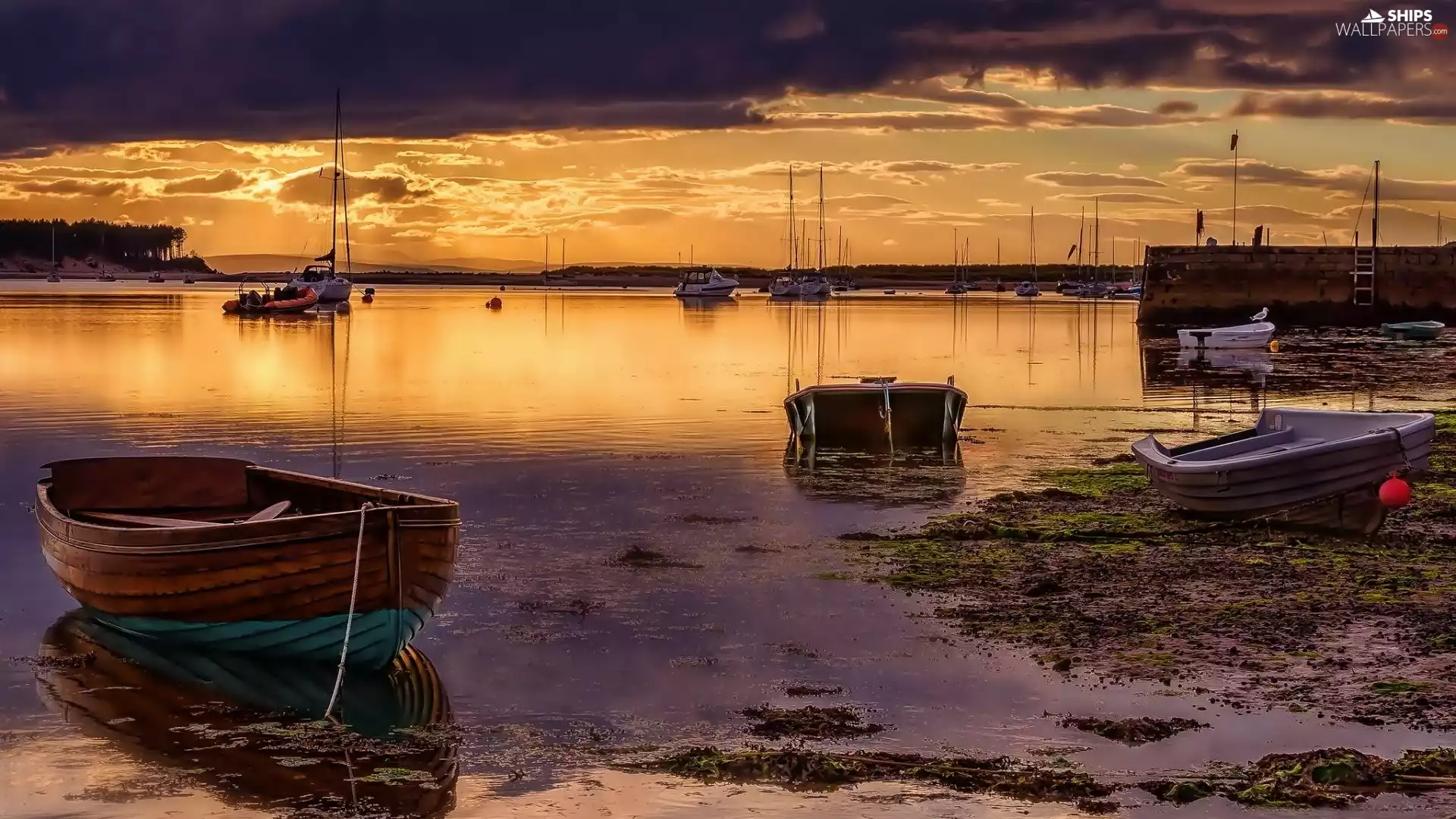 west, sun, Yachts, lake, Boats