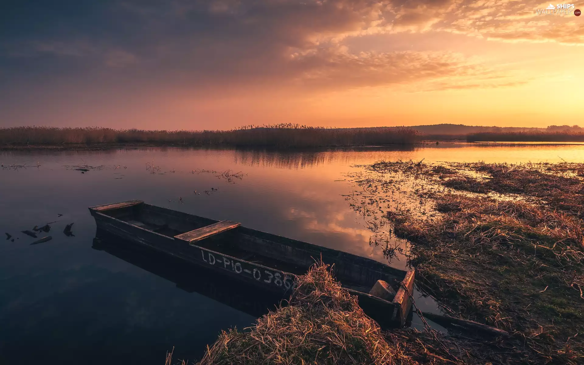 Great Sunsets, Boat, rushes, River