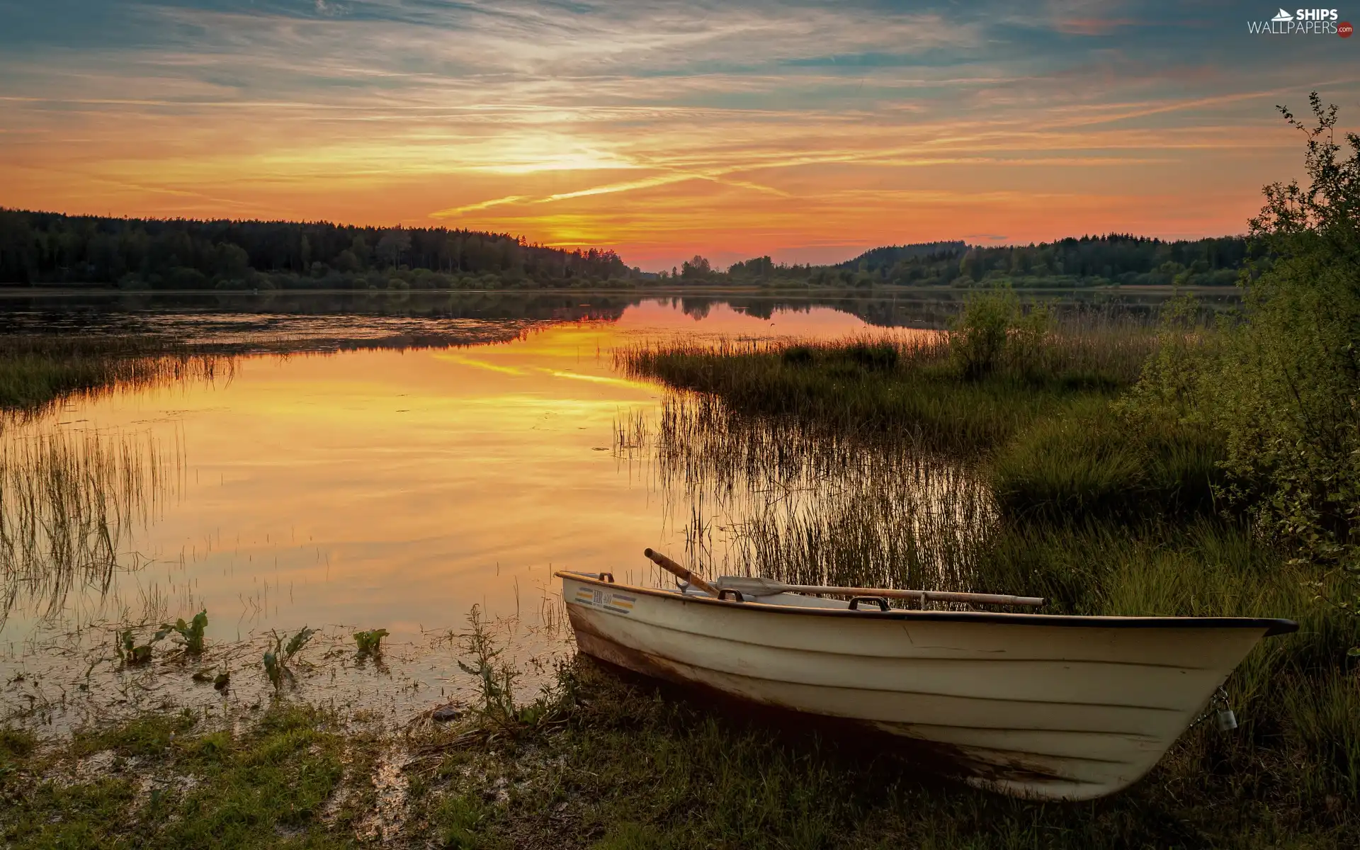trees, Boat, grass, forest, lake, viewes, Great Sunsets