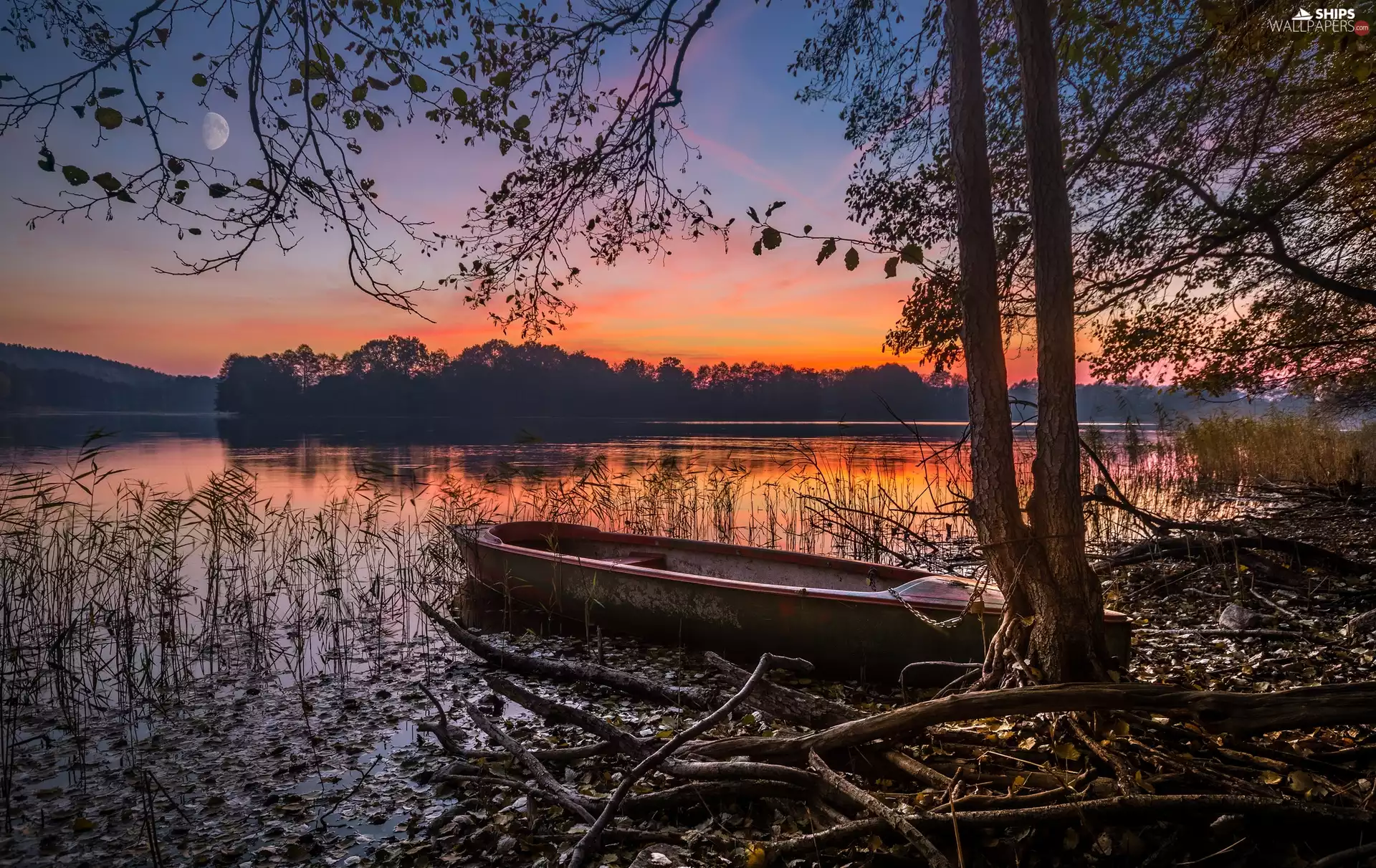 viewes, lake, Great Sunsets, moon, Boat, trees