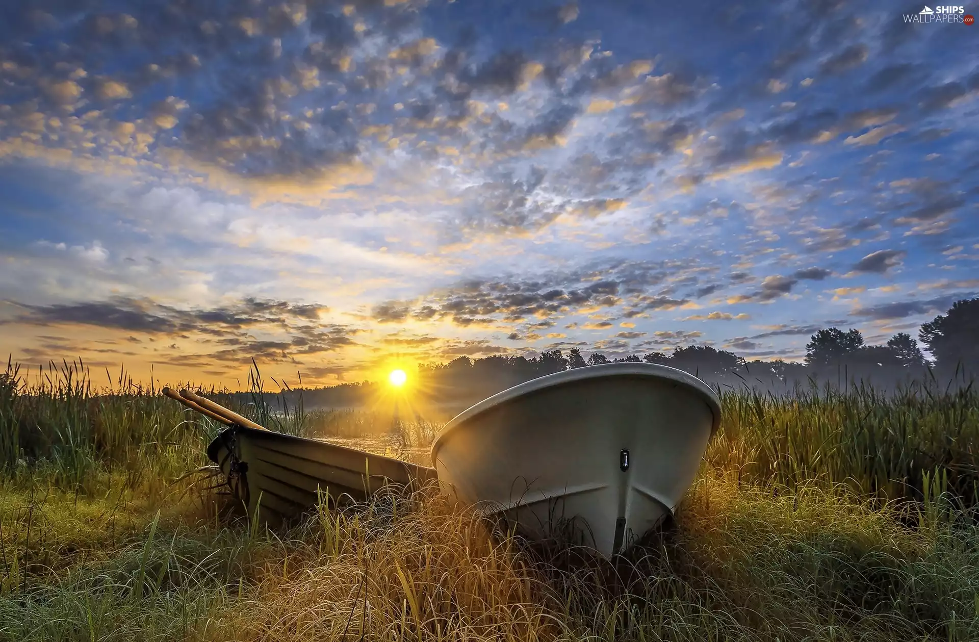 Two, rays of the Sun, grass, boats