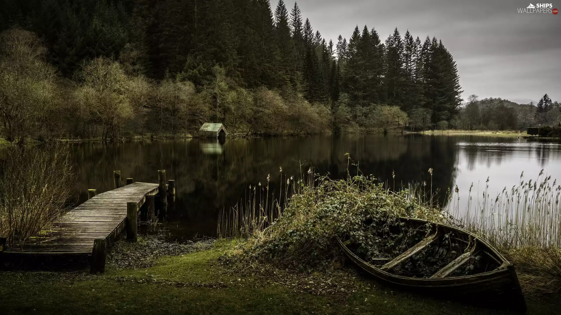 viewes, forest, Boat, trees, lake, Platform, scrub